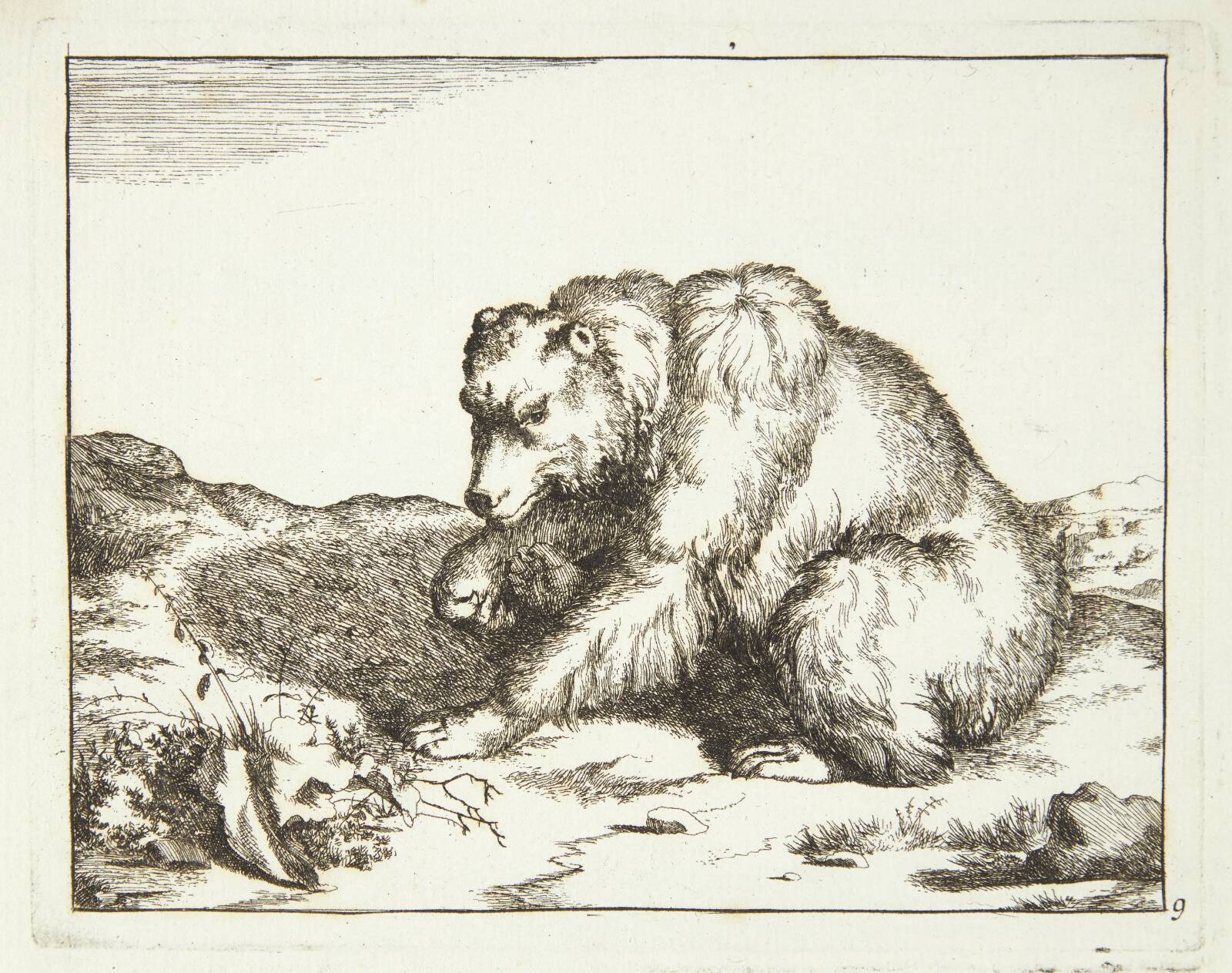 Siddende bjørn, vendt mod venstre, Marcus de Bye, 1664