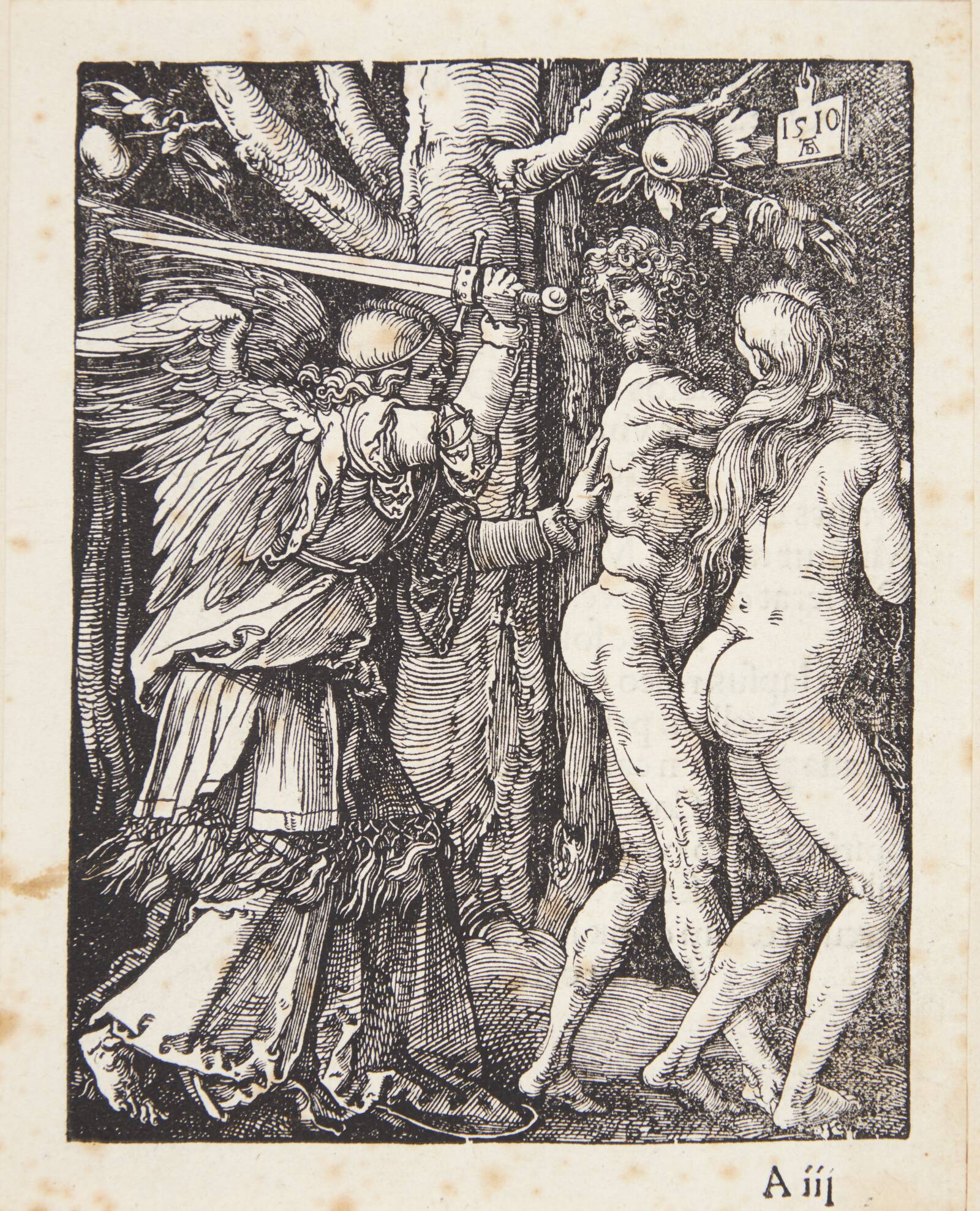 Uddrivelsen af Paradis, Albrecht Dürer, 1510