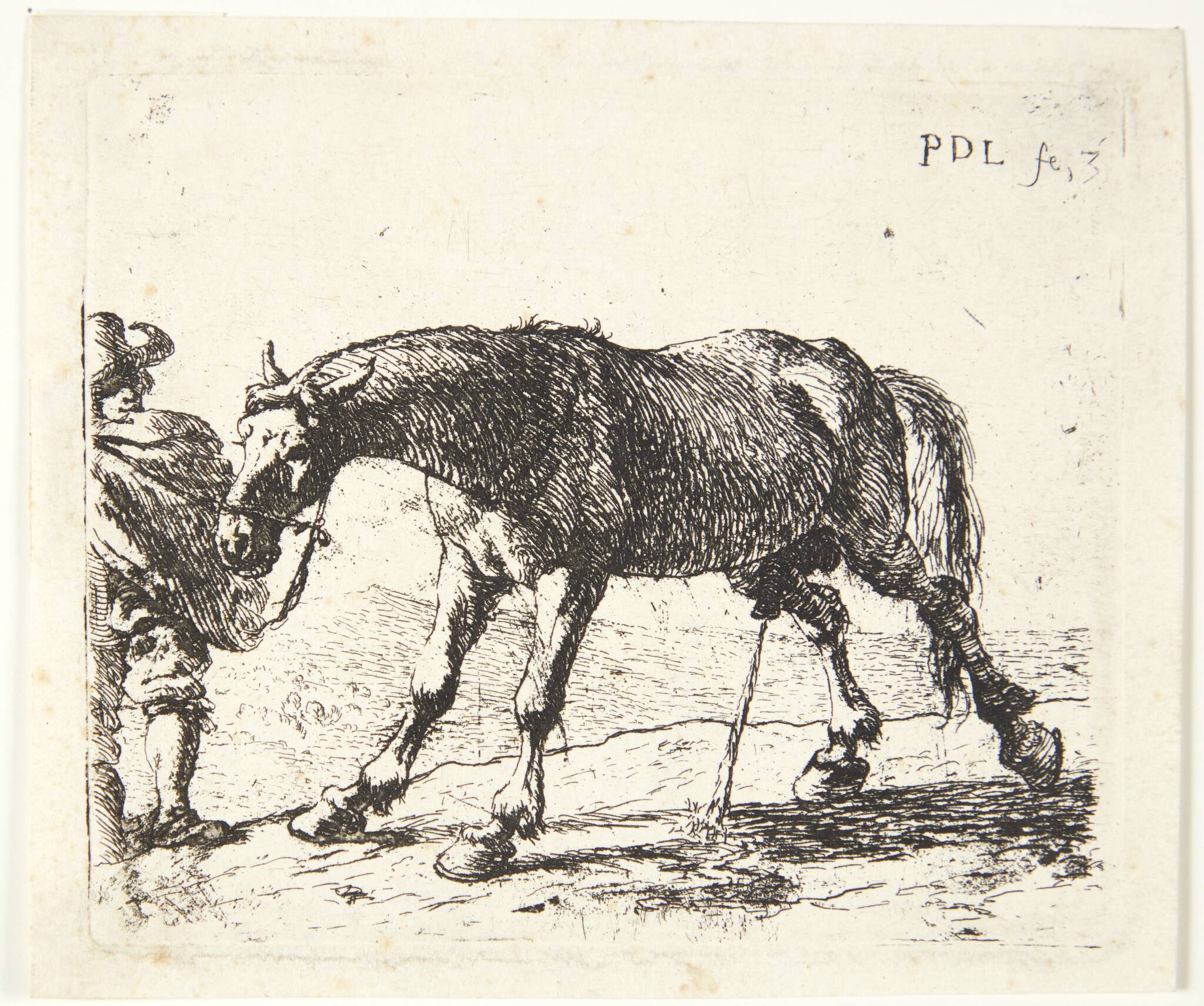 En pissende hest
