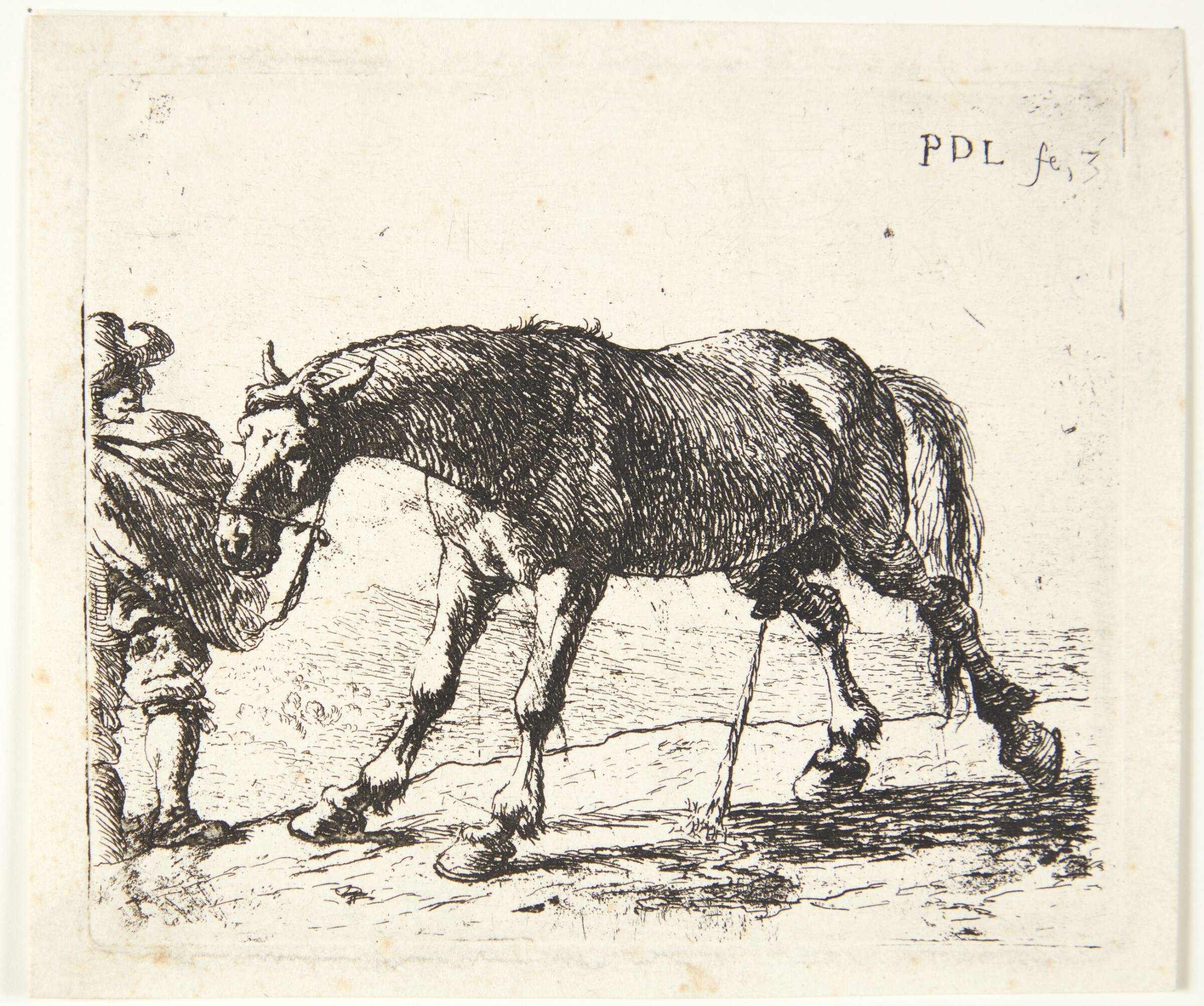 En pissende hest, Pieter van Laer, 1599-1642