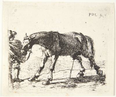 En pissende hest