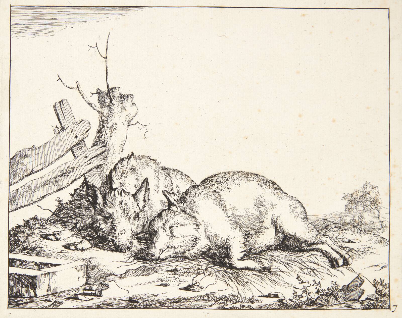To sovende svin, Marcus de Bye, 1638-1690