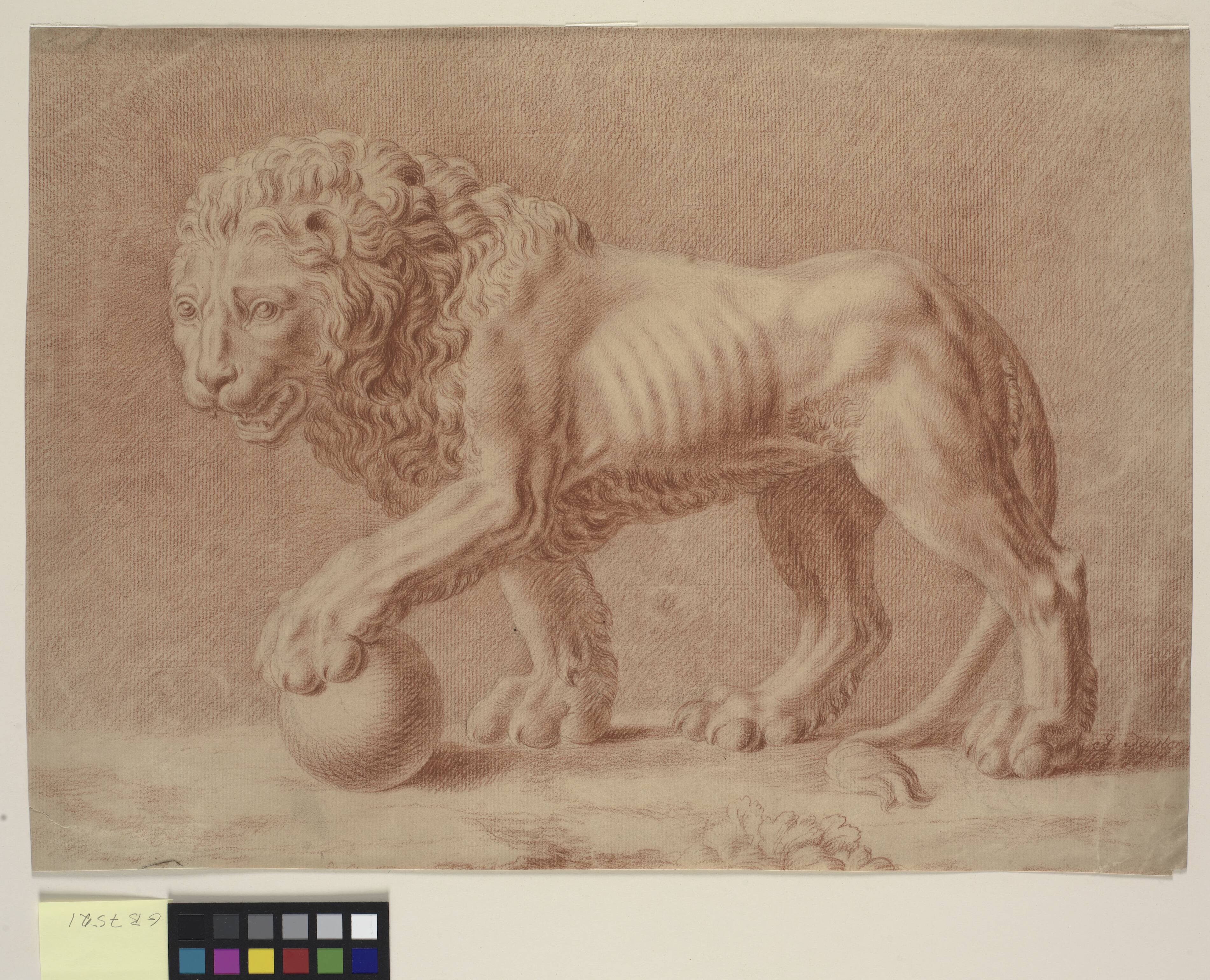 Lion turned to the left with his left paw on a globe