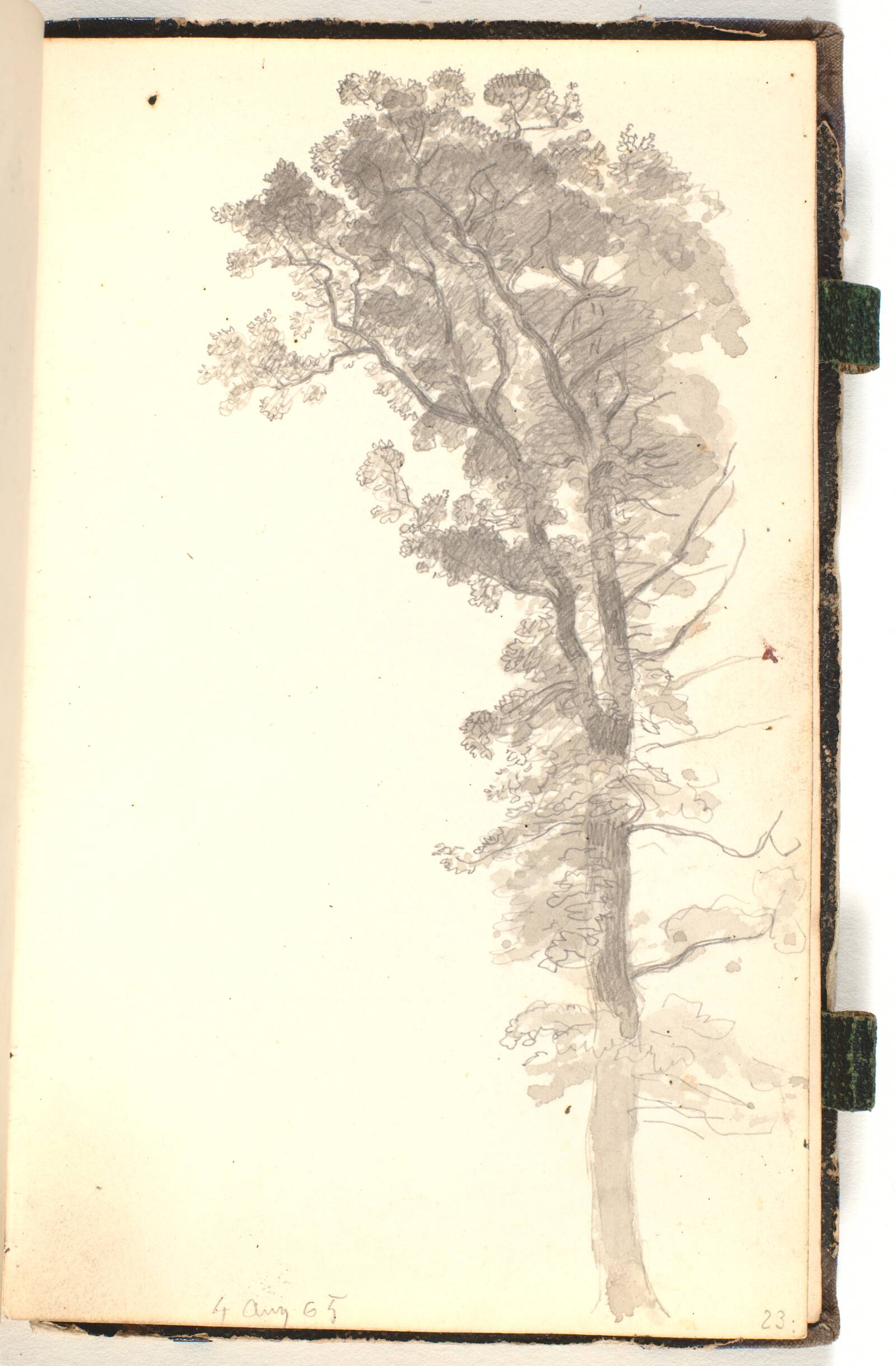 Et stort træ, P.C. Skovgaard, 1865