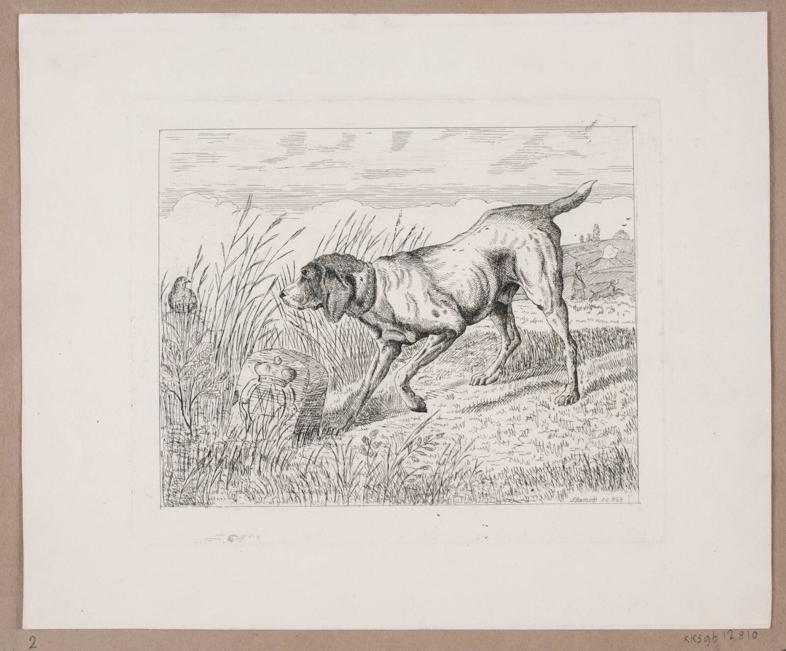 En jagthund, Frede Aamodt, 1869