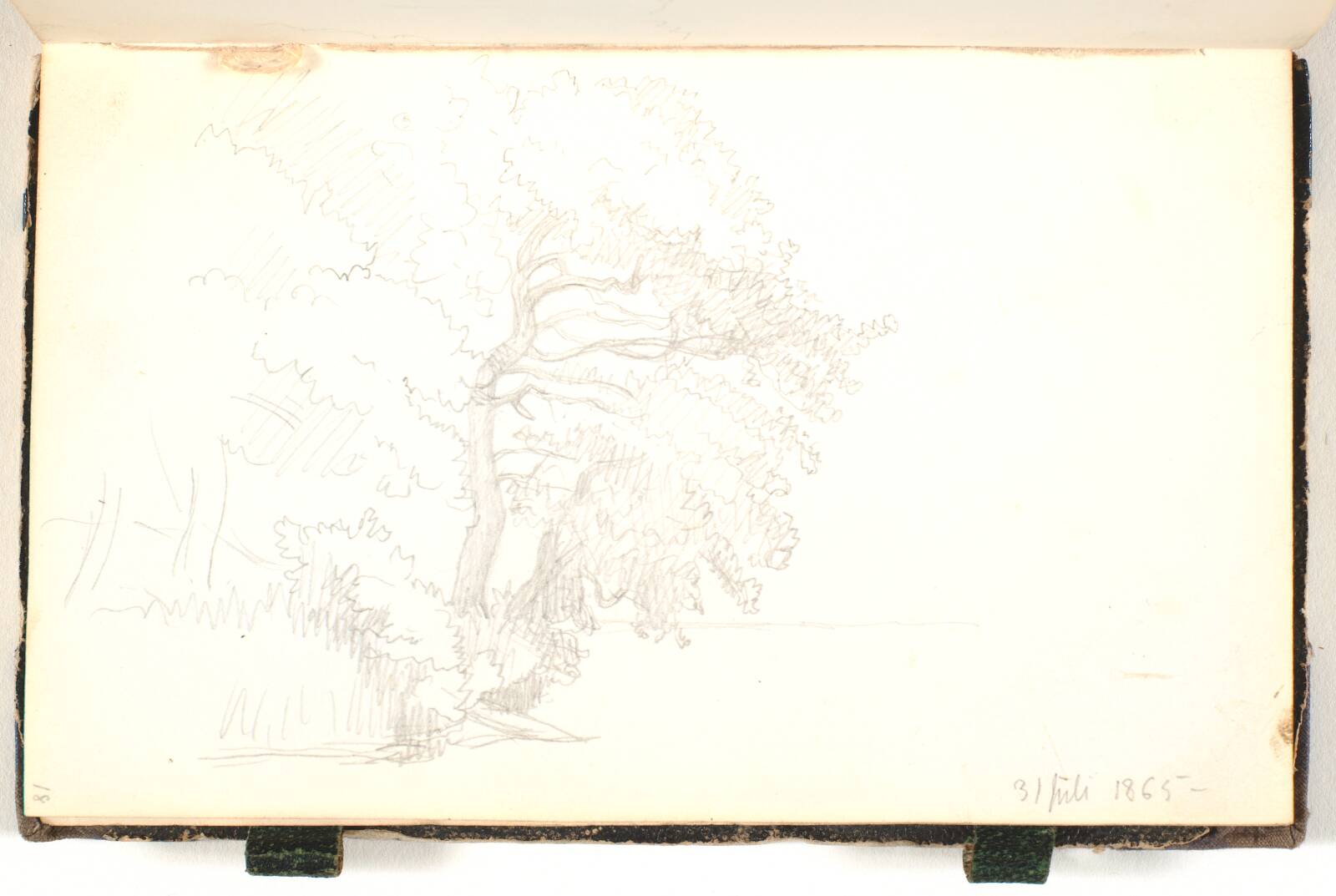Et træ, P.C. Skovgaard, 1865