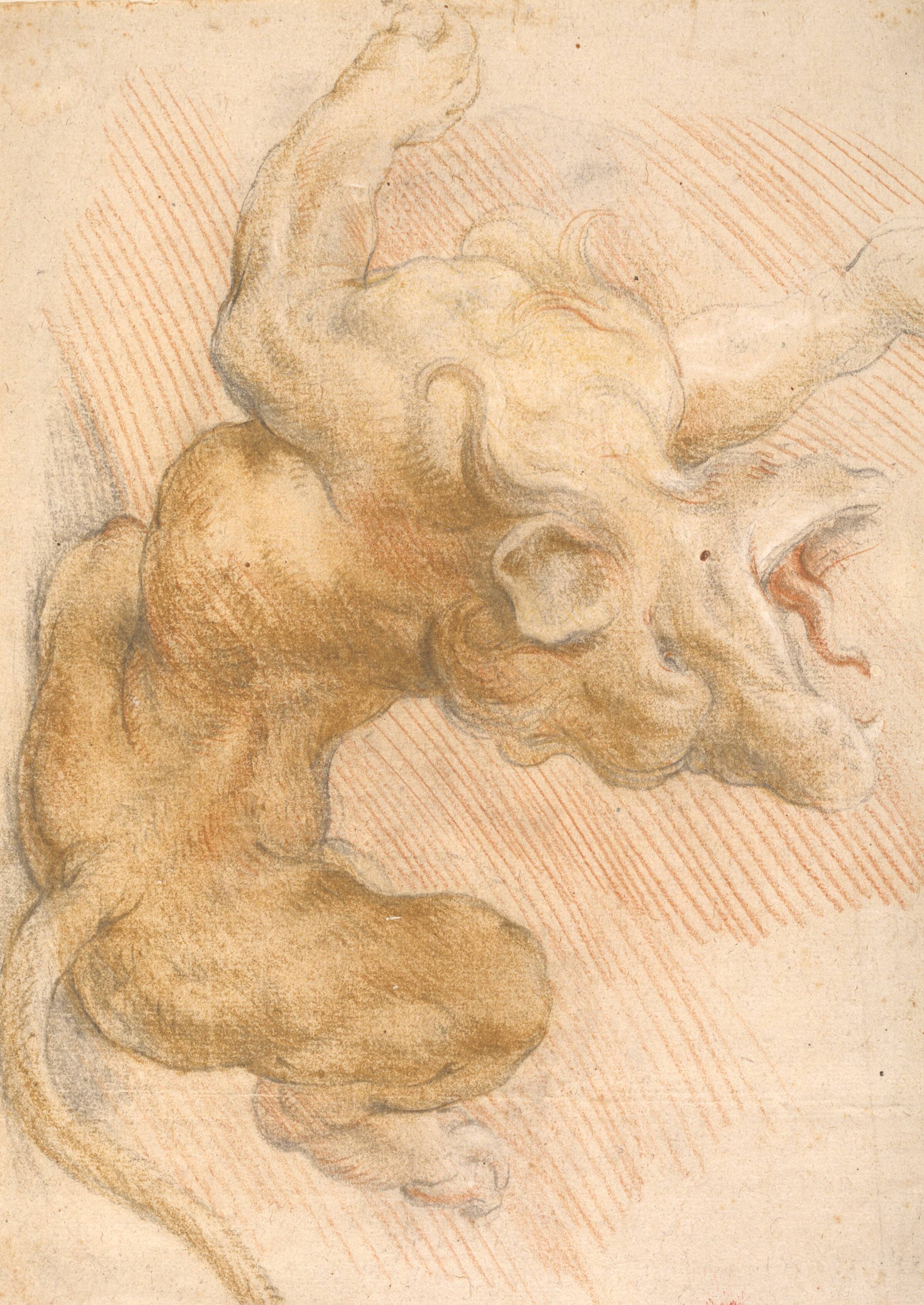 Studie fra "Samson og løven". Løven, Willem Panneels, 1628-1629