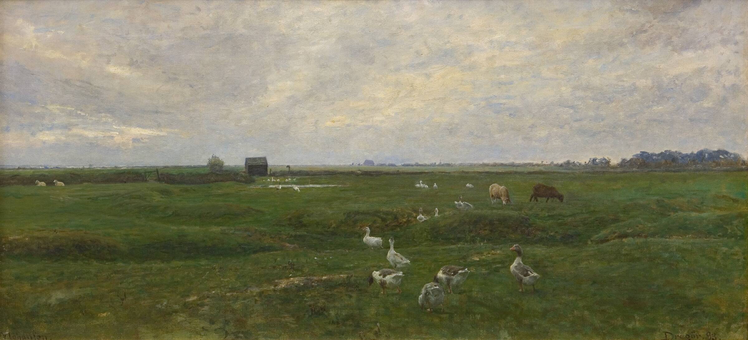 Gæs og får på bymarken. Dragør, Viggo Johansen, 1893