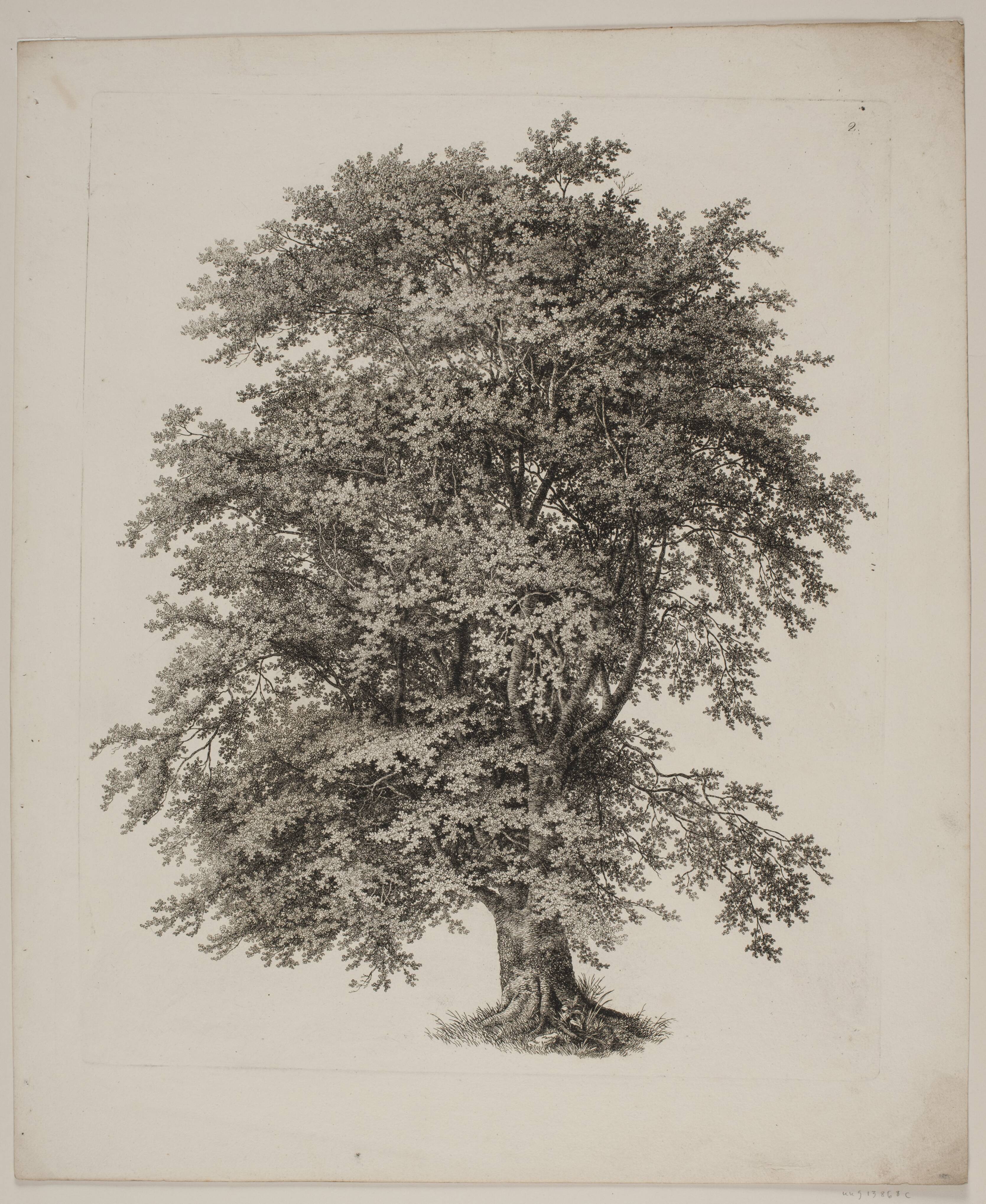 "Studier efter Naturen med Hensyn til Landskabstegning af S.H. Petersen", nr. 2