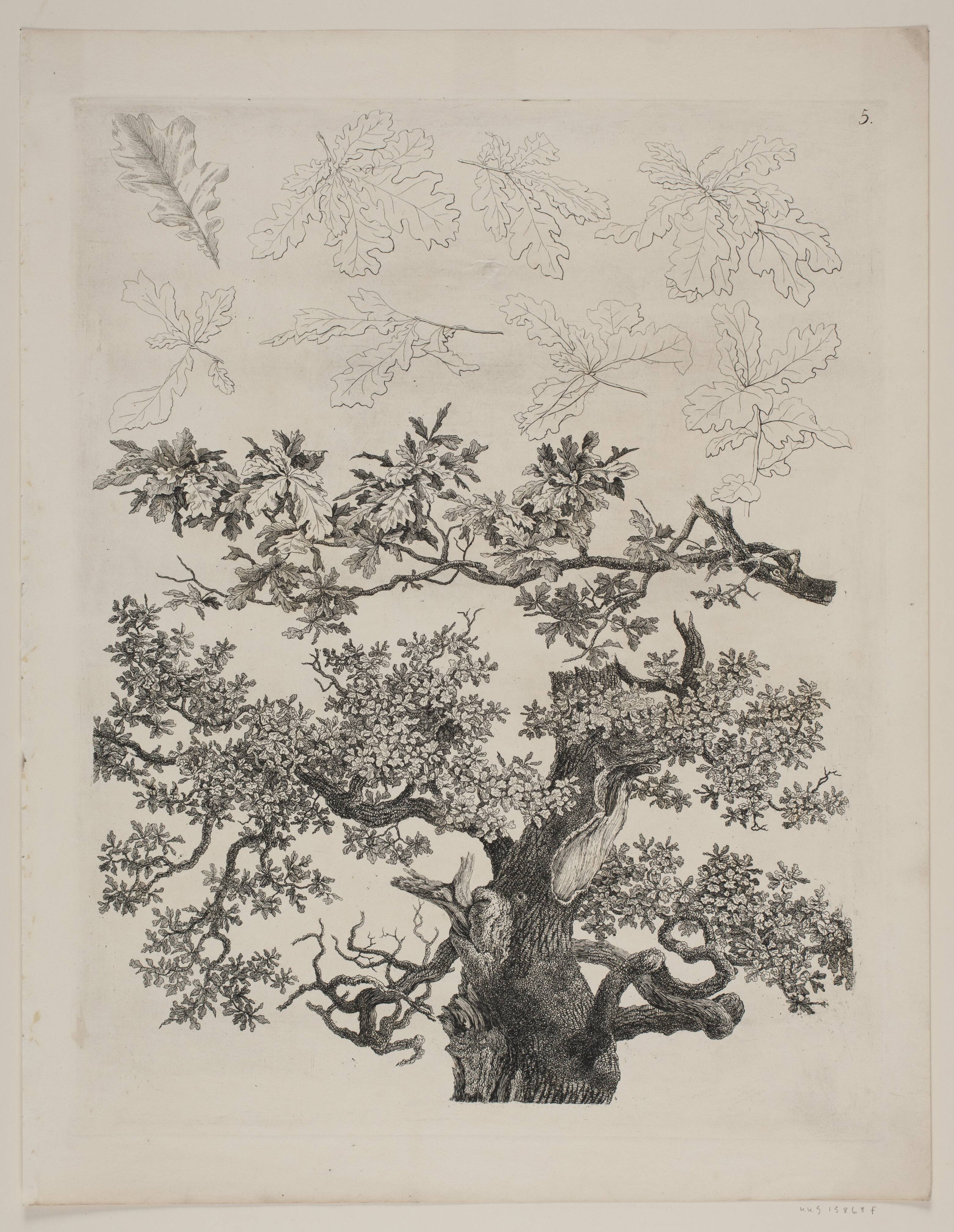"Studier efter Naturen med Hensyn til Landskabstegning af S.H. Petersen", nr. 5