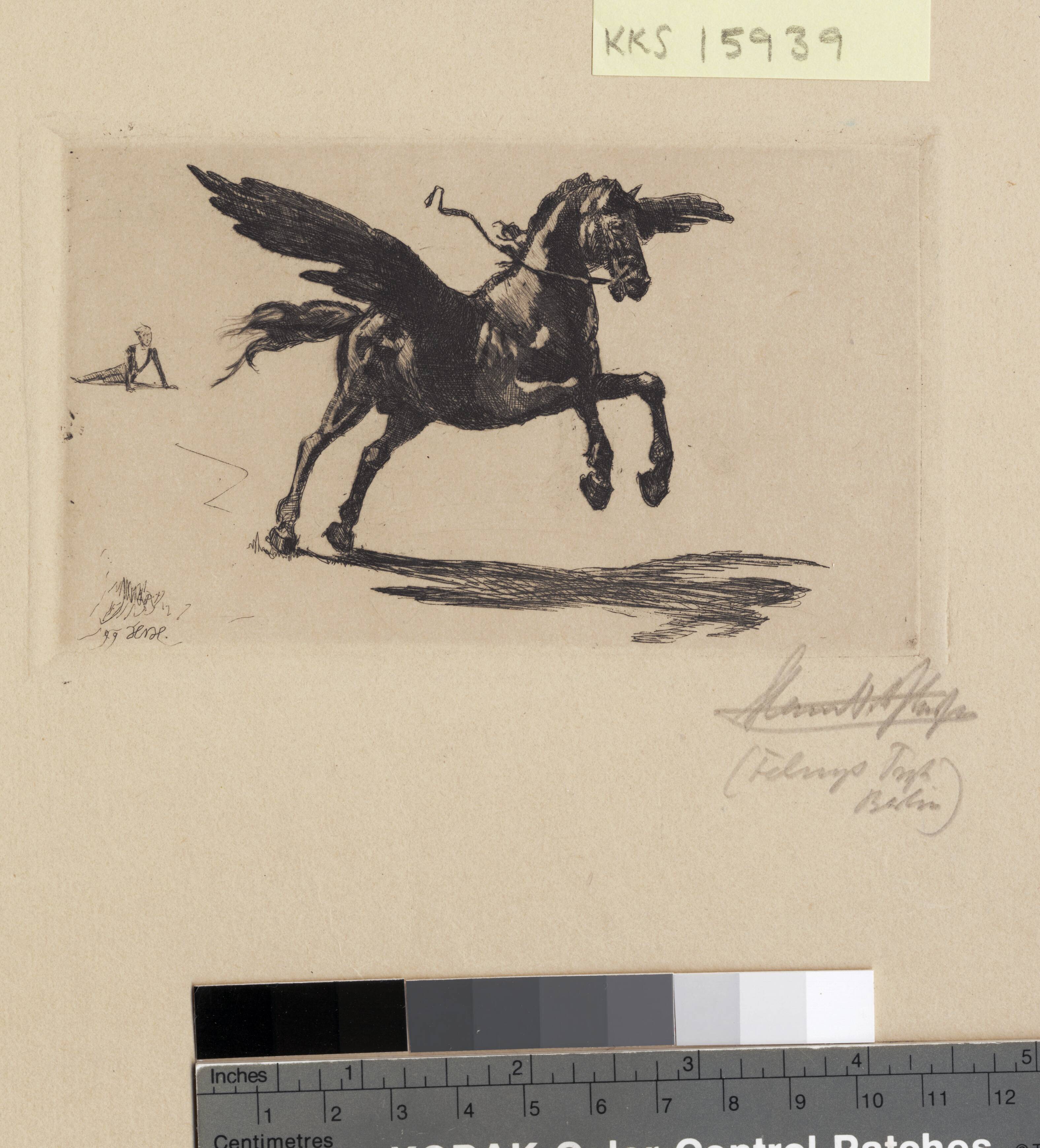 Pegasus