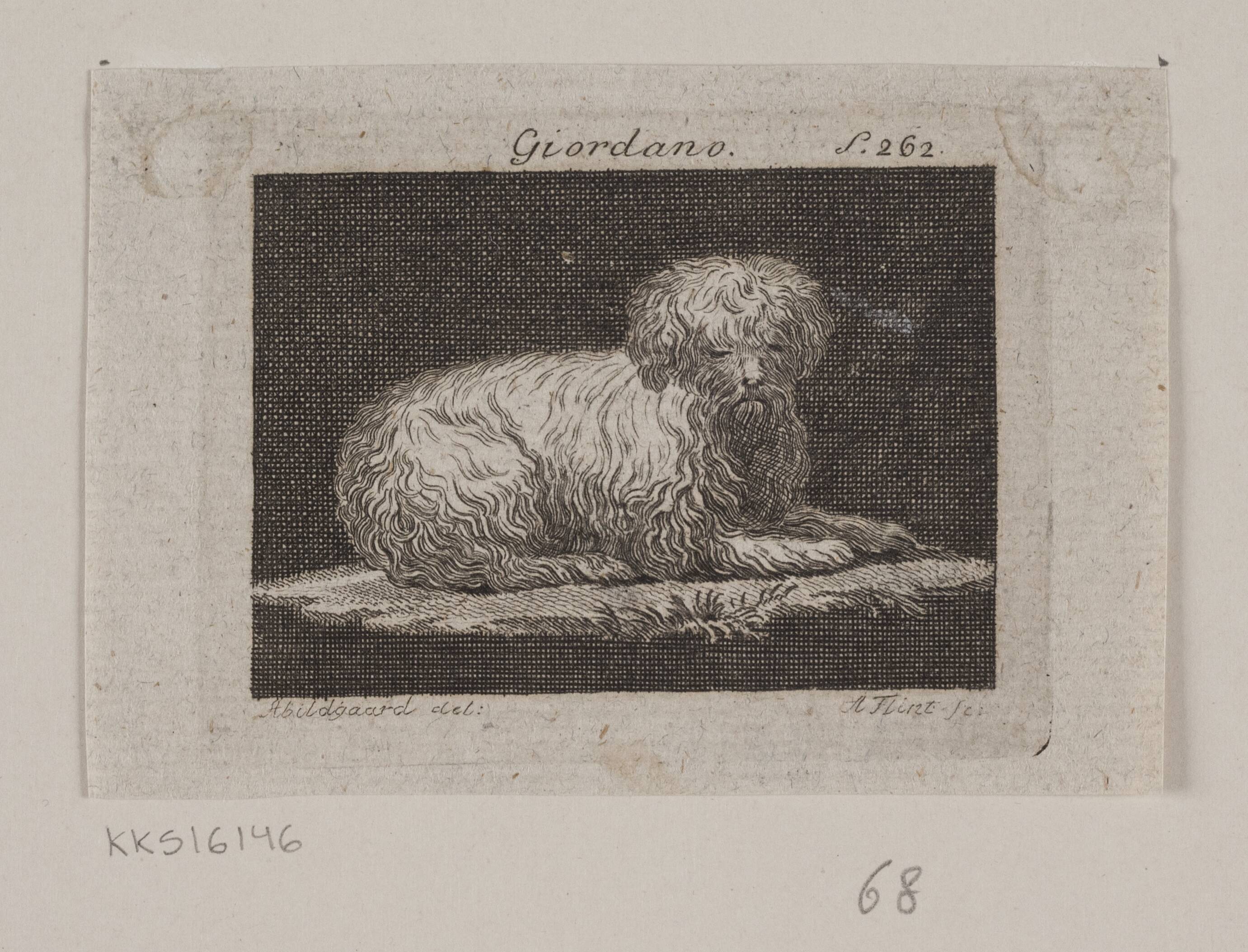 Giordano, en liggende hund