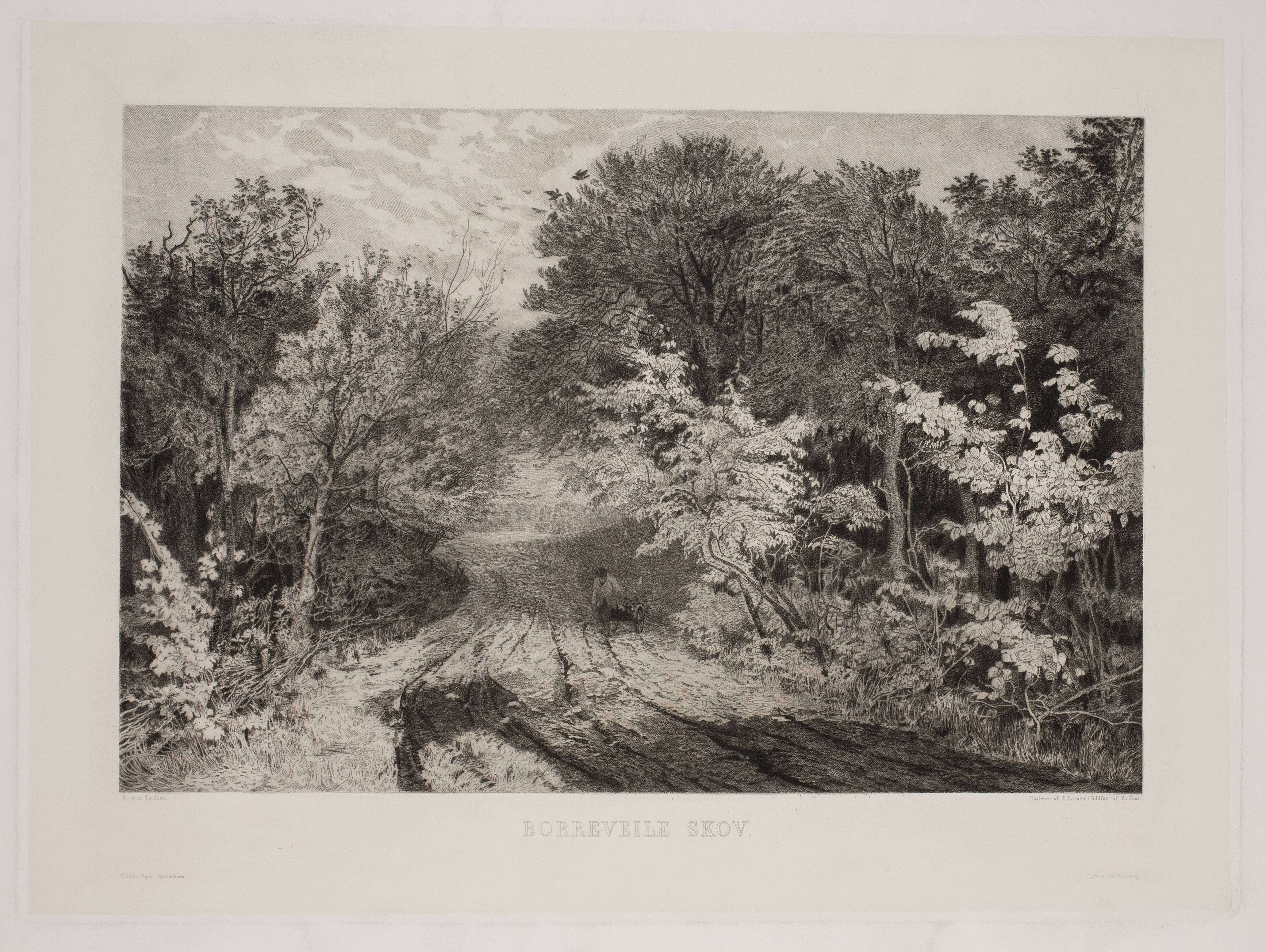 Borrevejle Skov