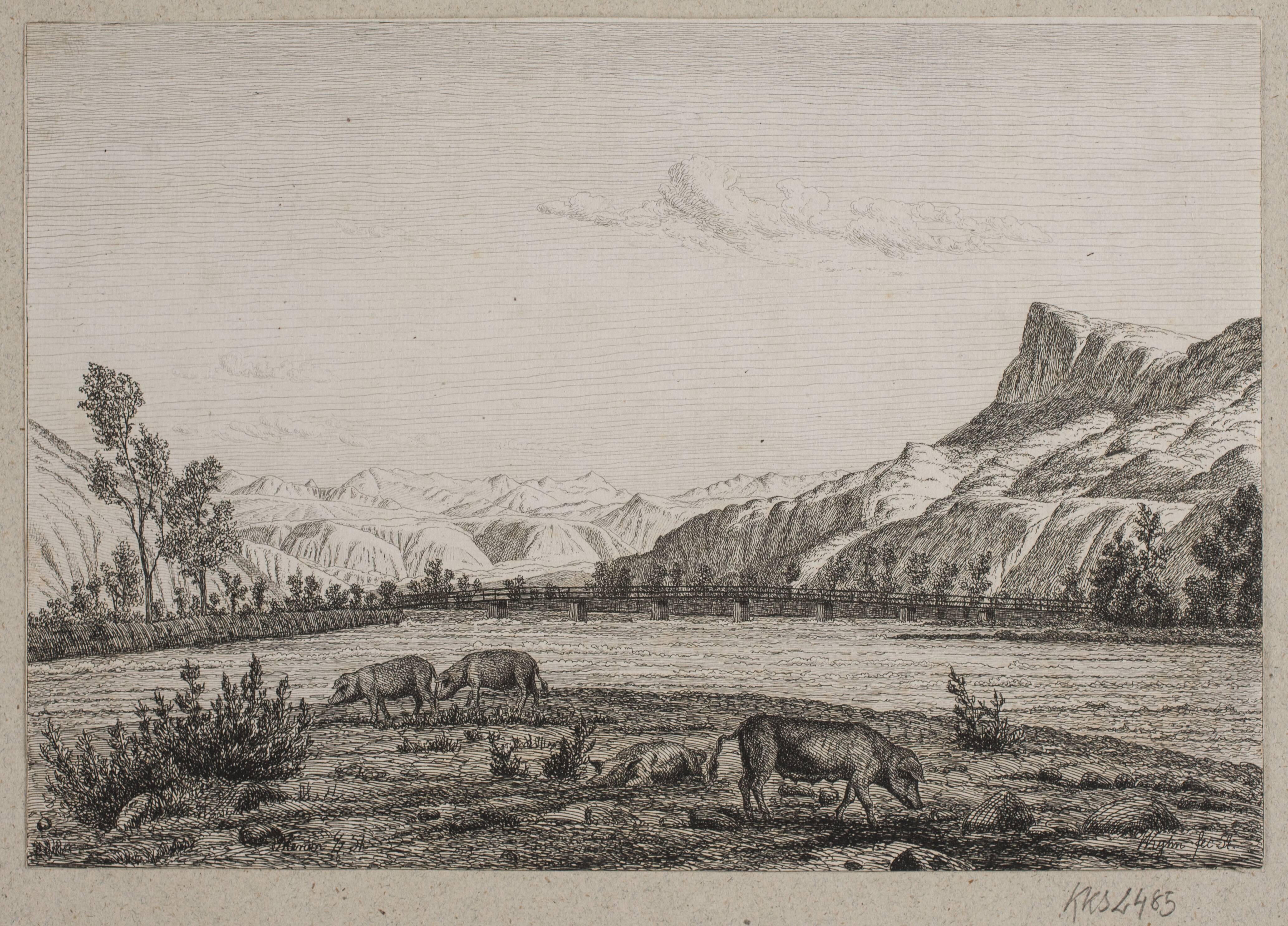 Bjergegn i Tyrol