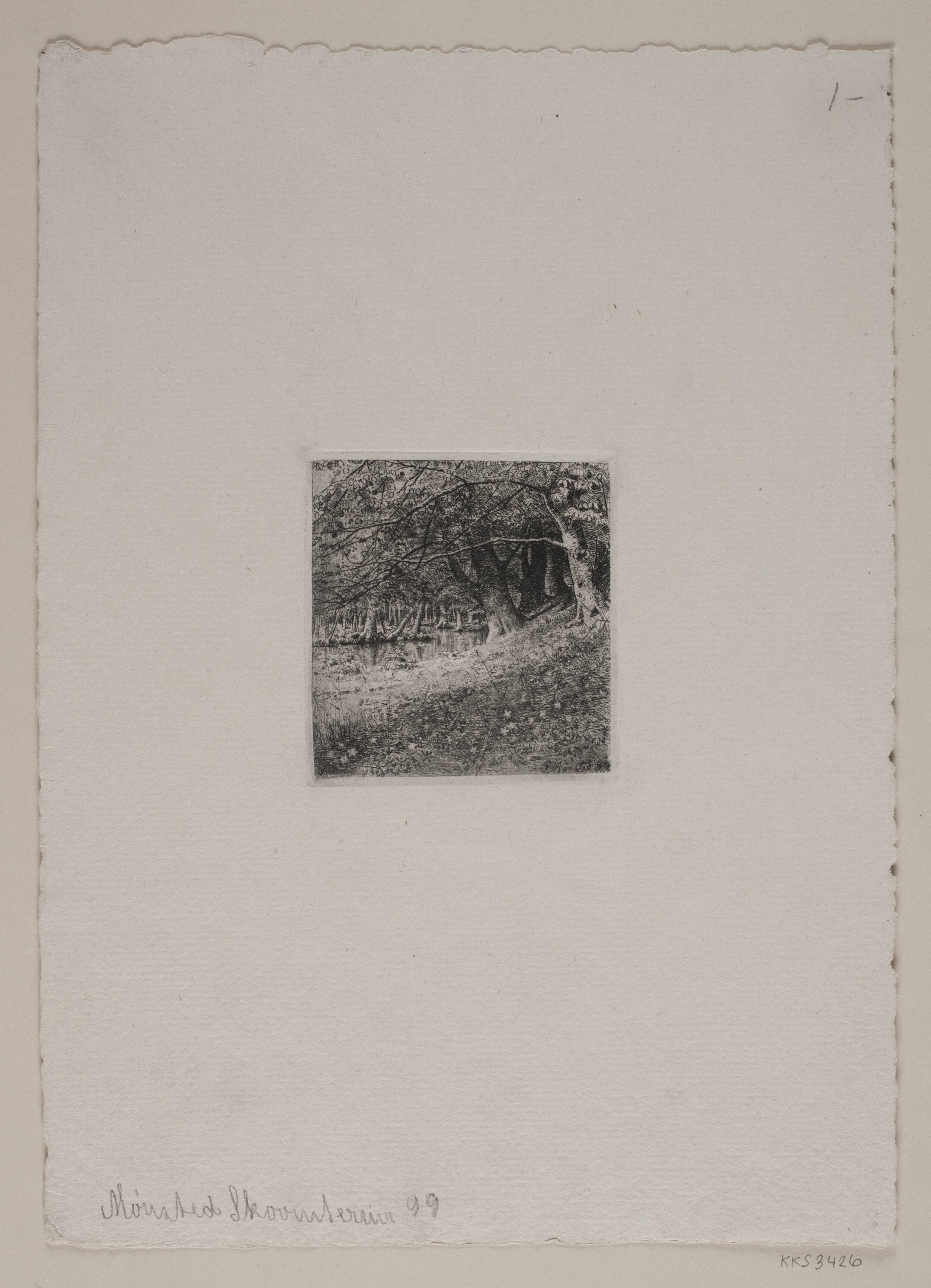 Skovinteriør