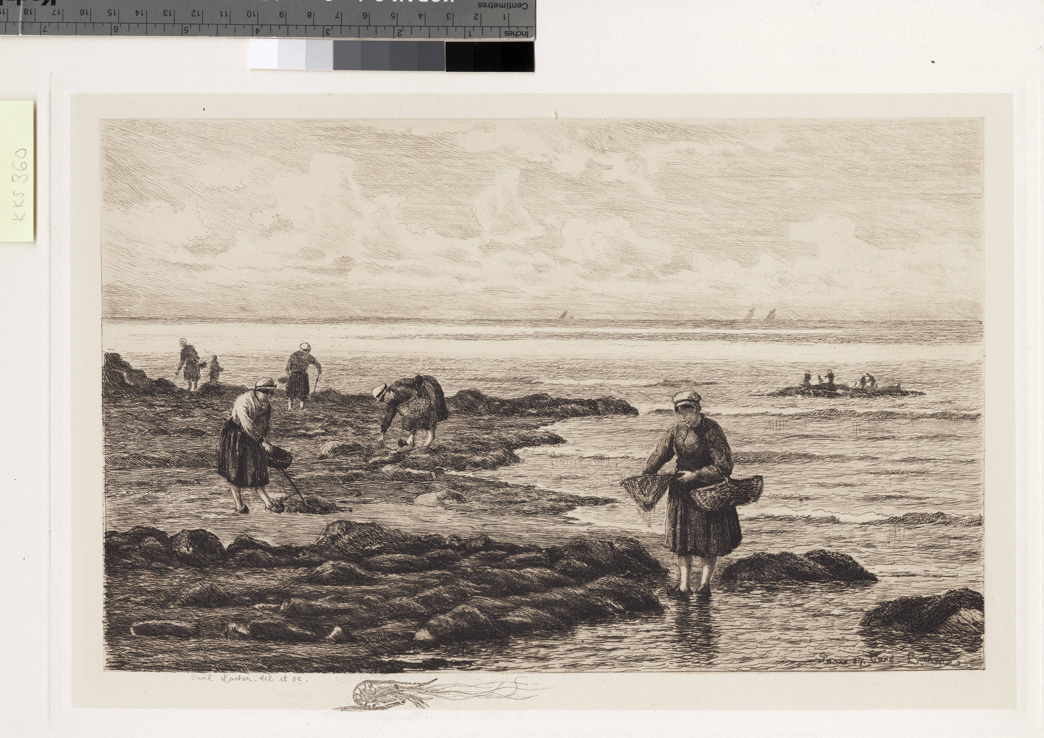 Rejefiskere i Bretagne