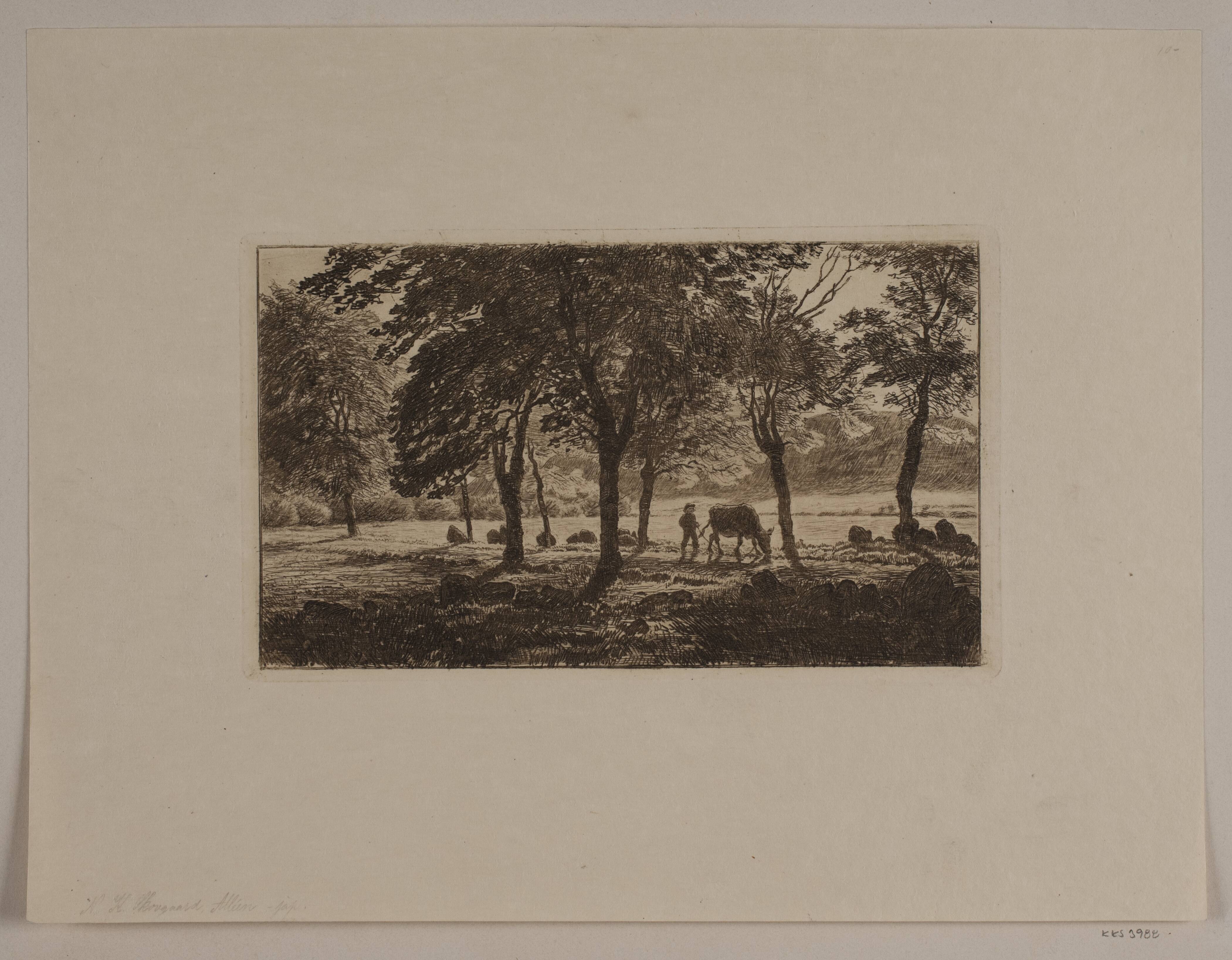 Alléen