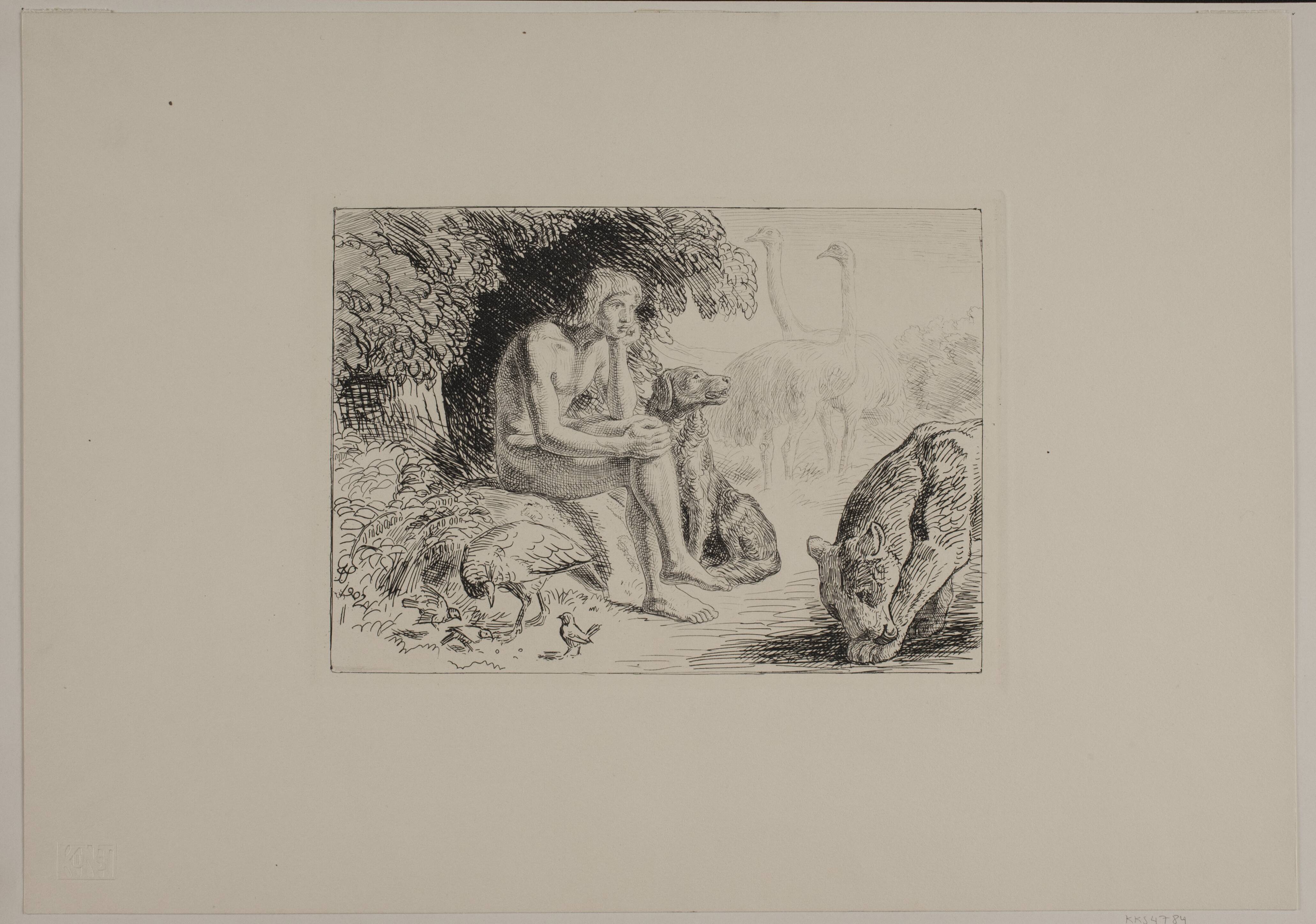 Adam blandt dyrene