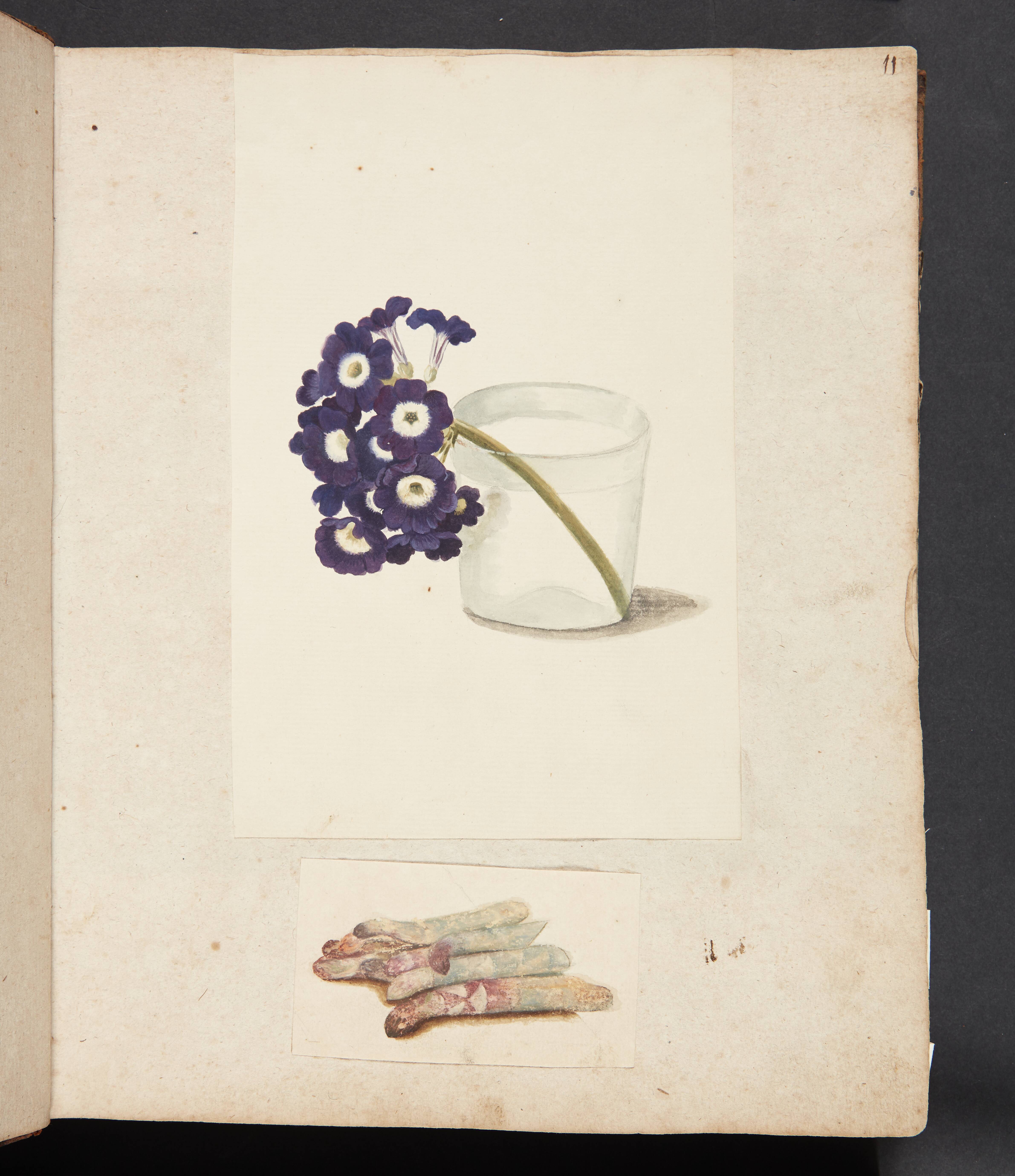 Studie af blomst i glas med vand og hvide asparges