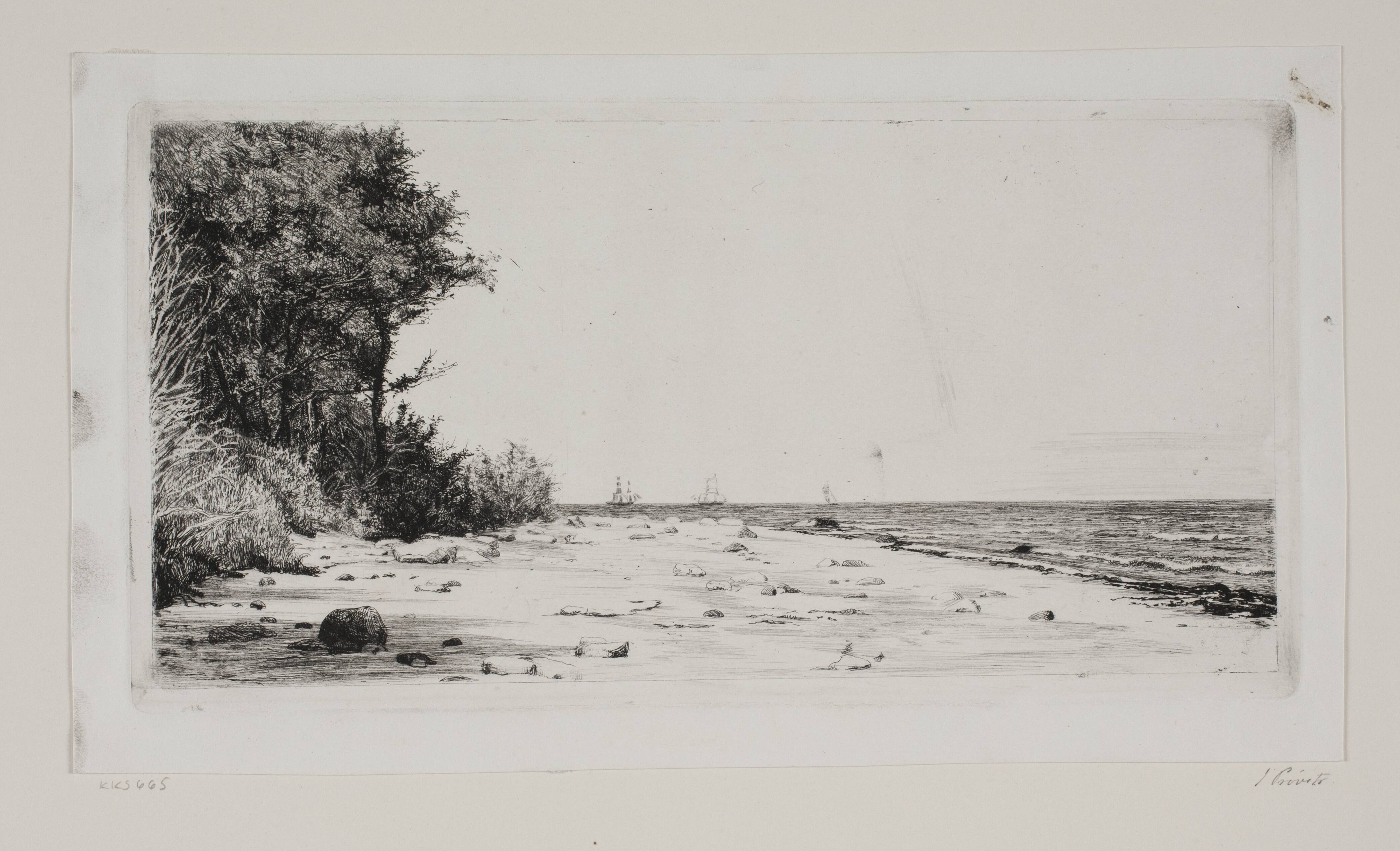 Fra Sjællands nordkyst. Hornbækplantagen