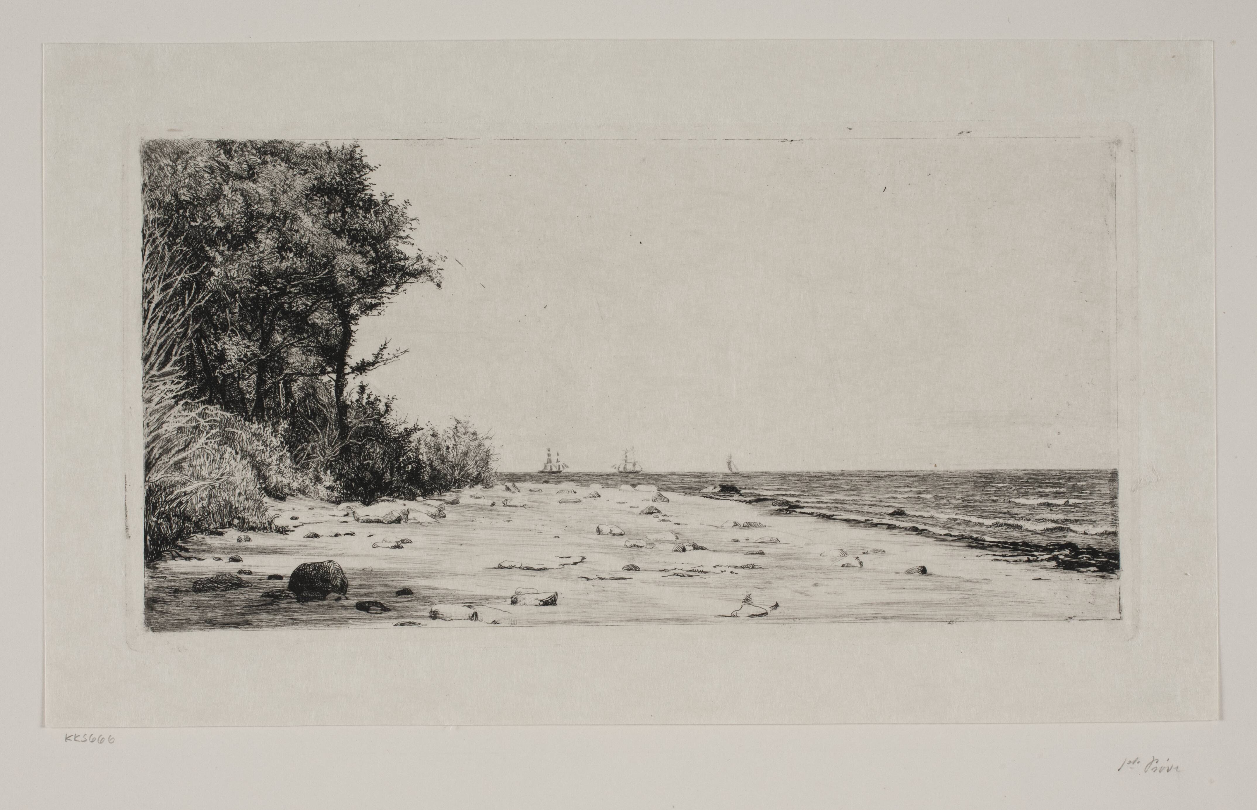 Fra Sjællands nordkyst. Hornbækplantagen