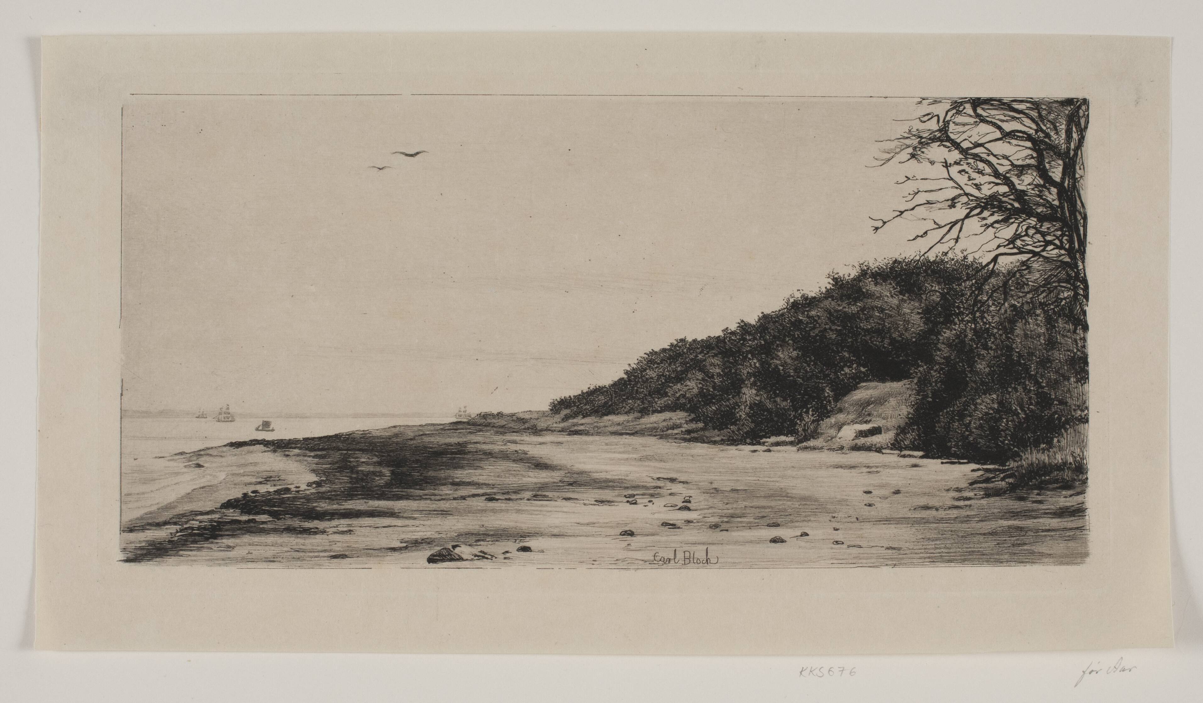 Skrænten ved Havet