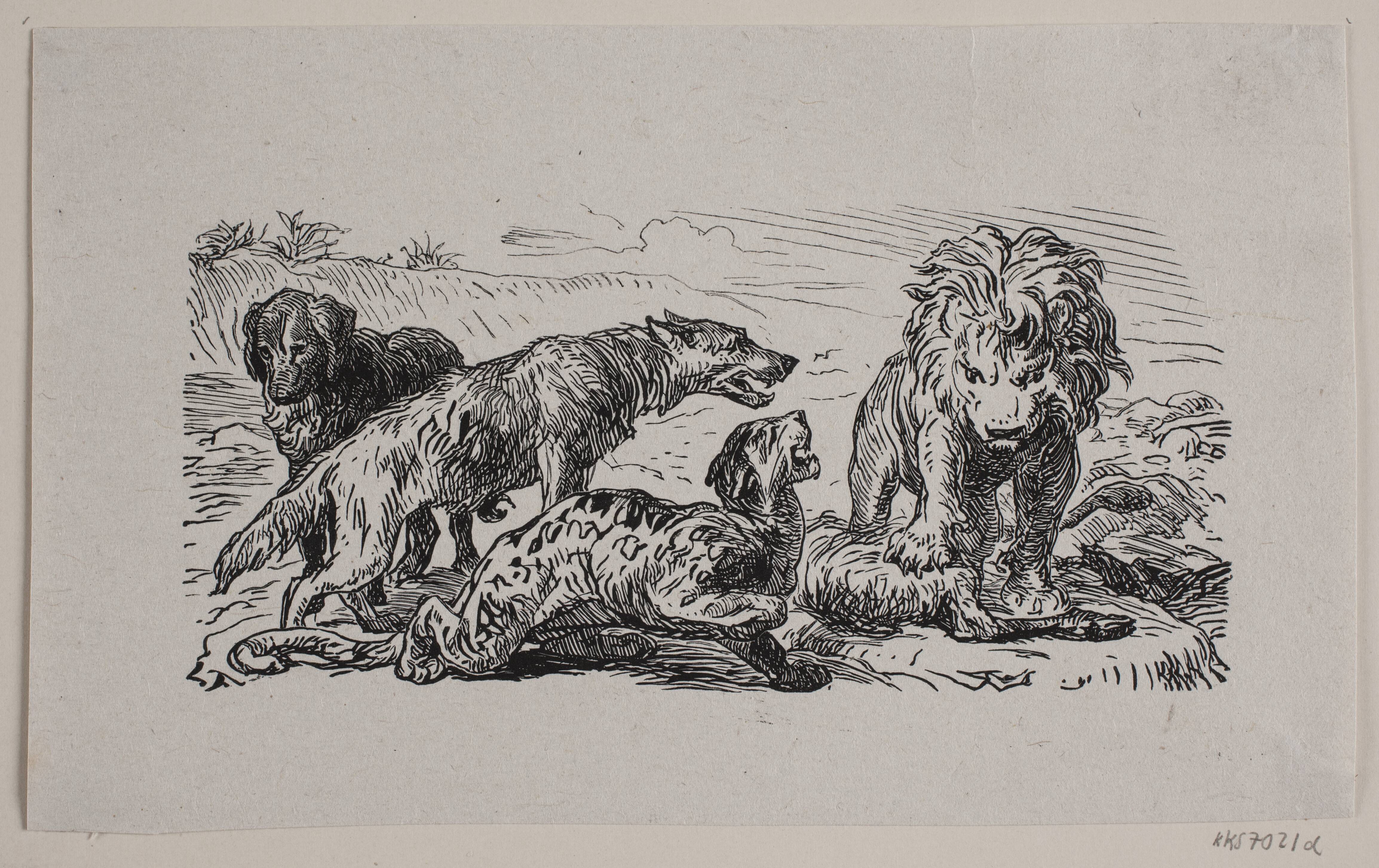 Illustration til "Fablen om løvens jagt"
