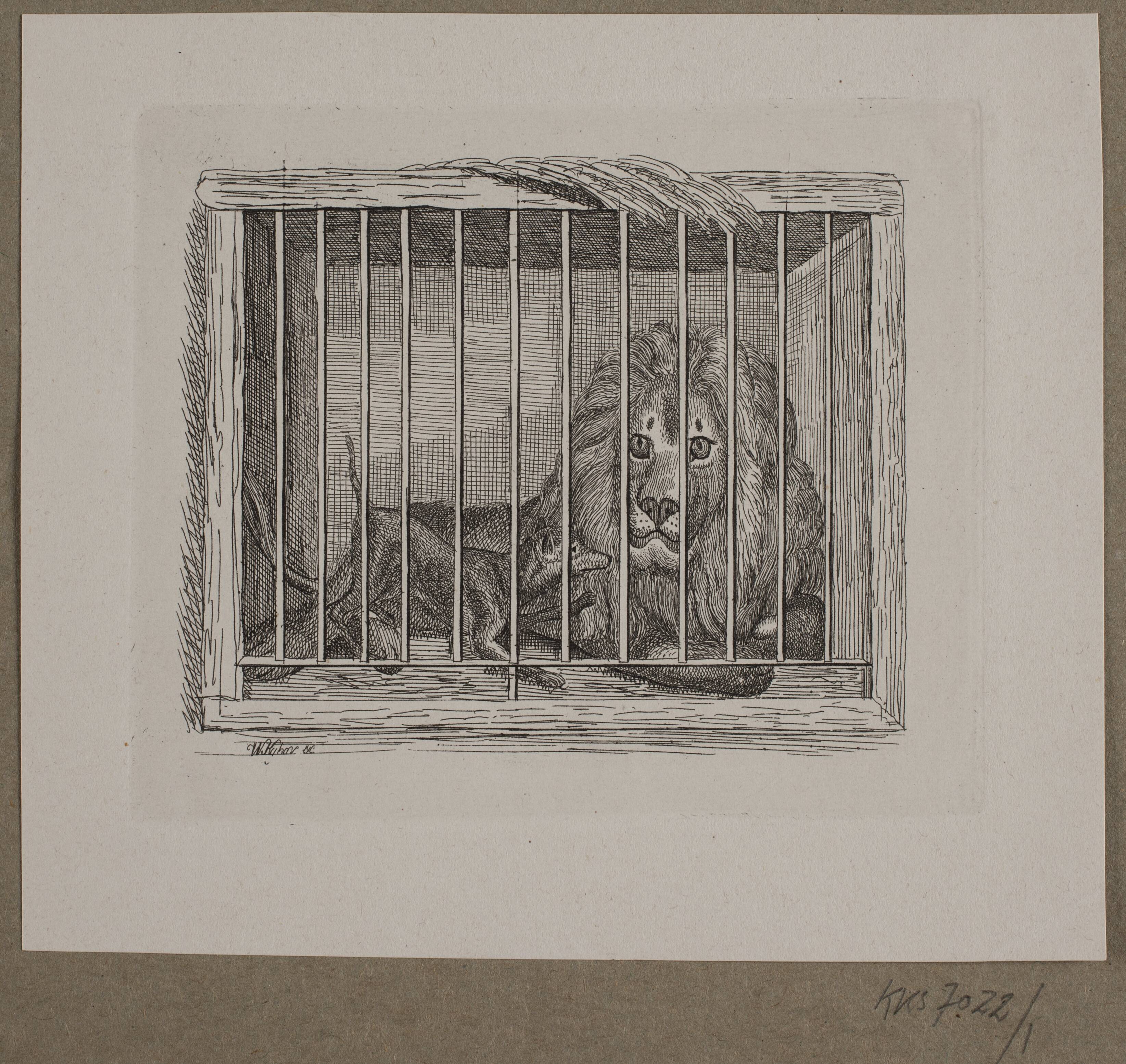 Illustration til O. Specter, "Fabler for Børn"