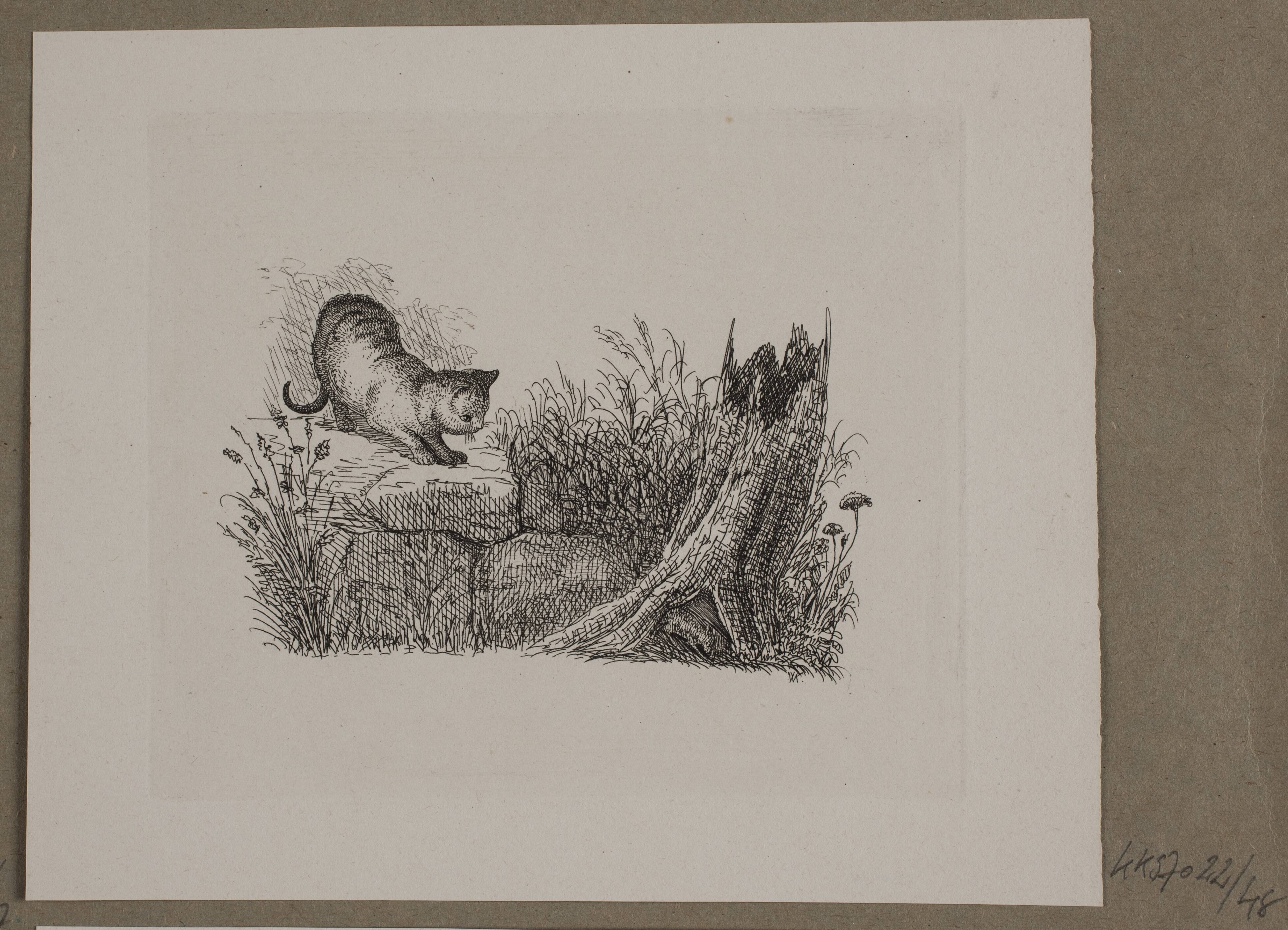 Illustration til O. Specter, "Fabler for Børn"