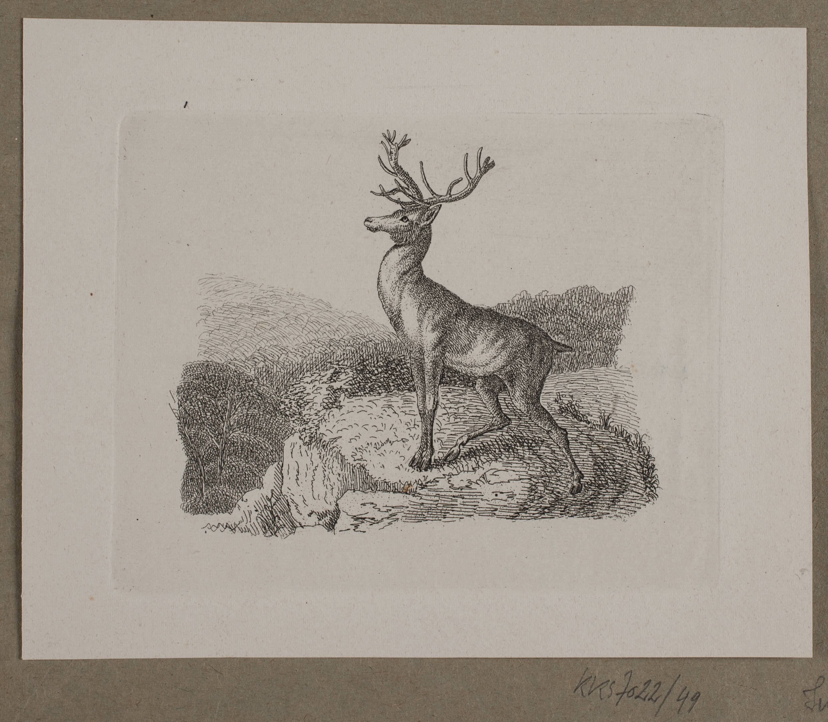 Illustration til O. Specter, "Fabler for Børn"