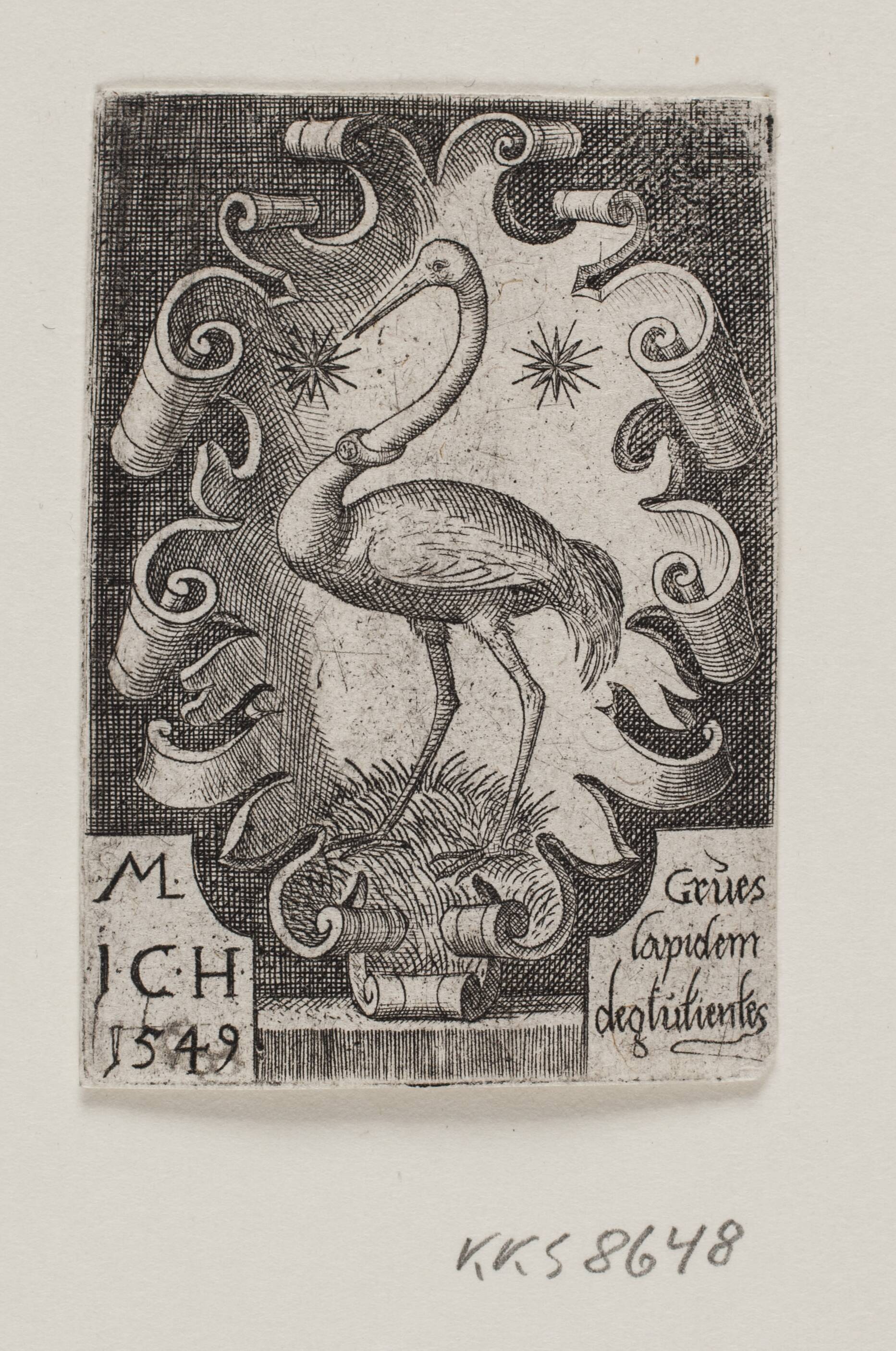 The crane