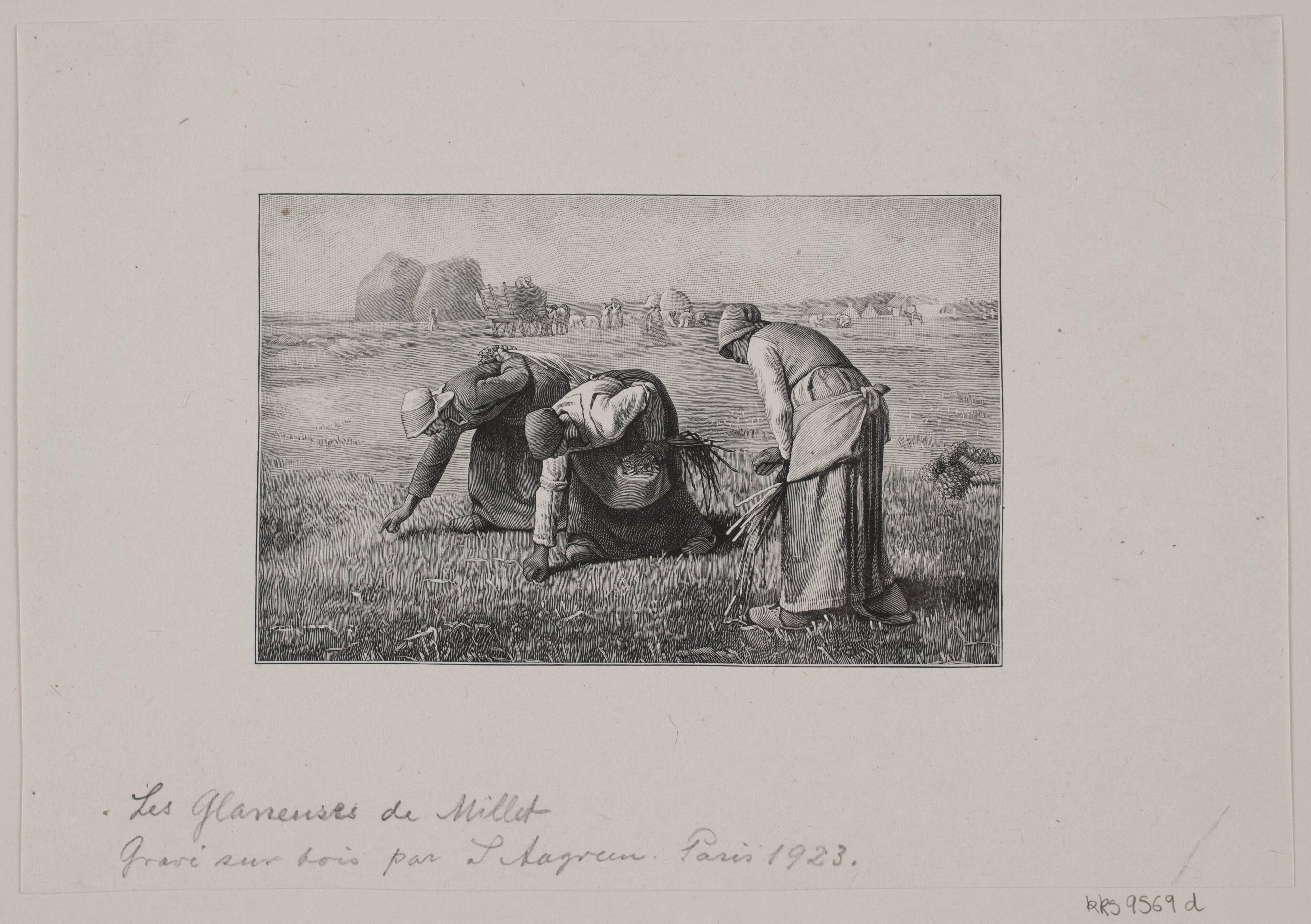 Des glaneuses