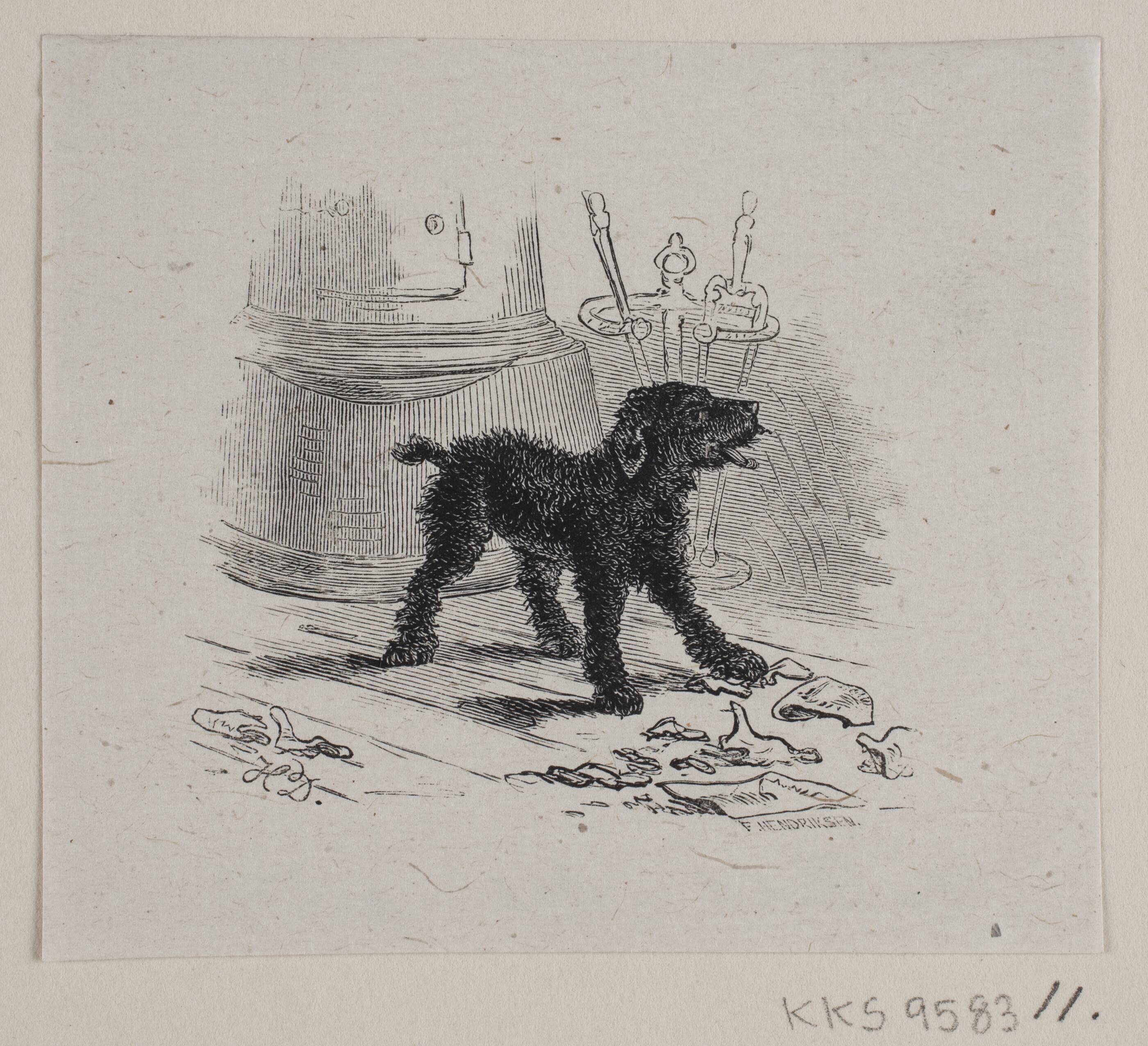 En hundehvalp