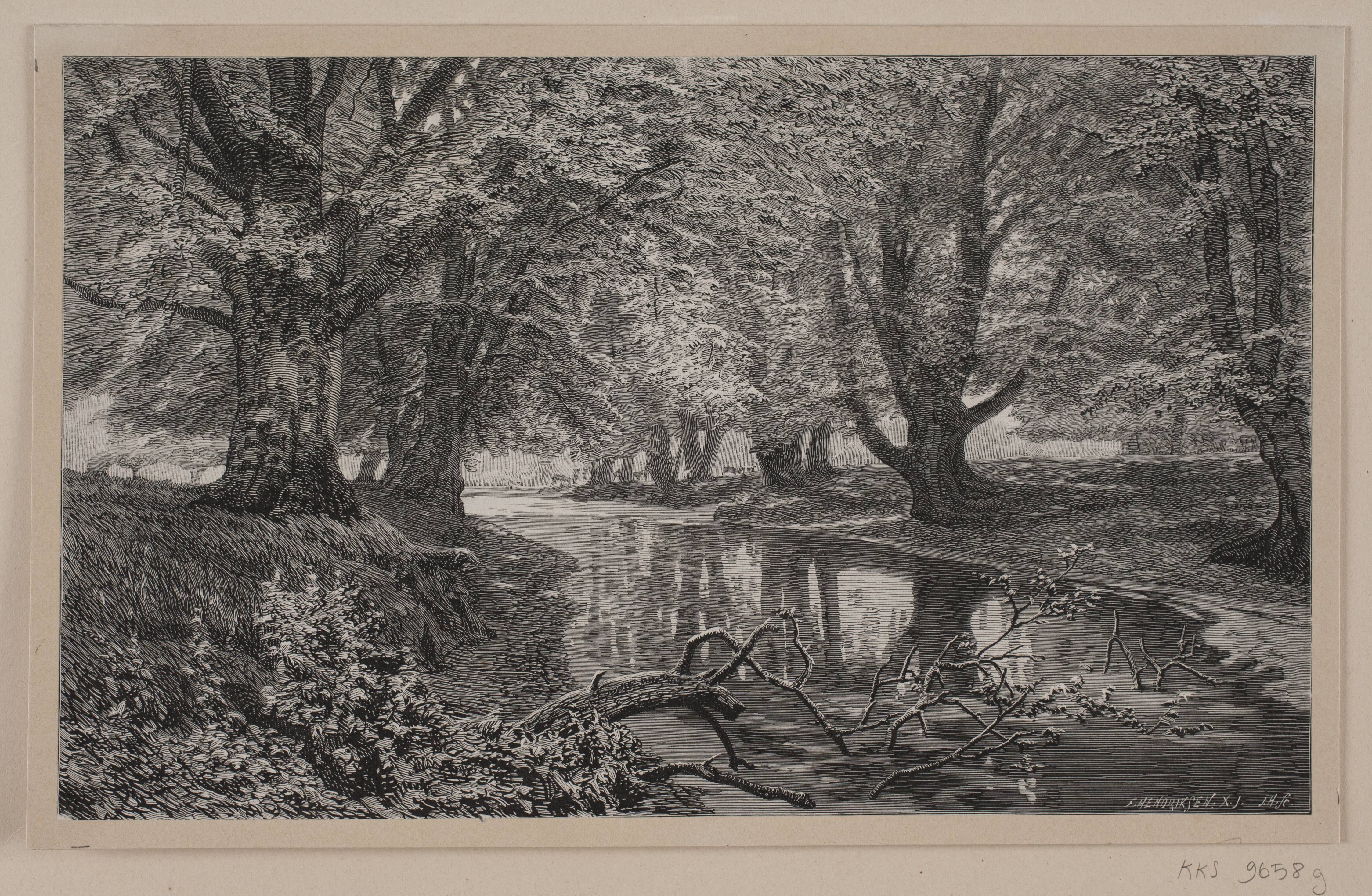 Et stille vand i Dyrehaven