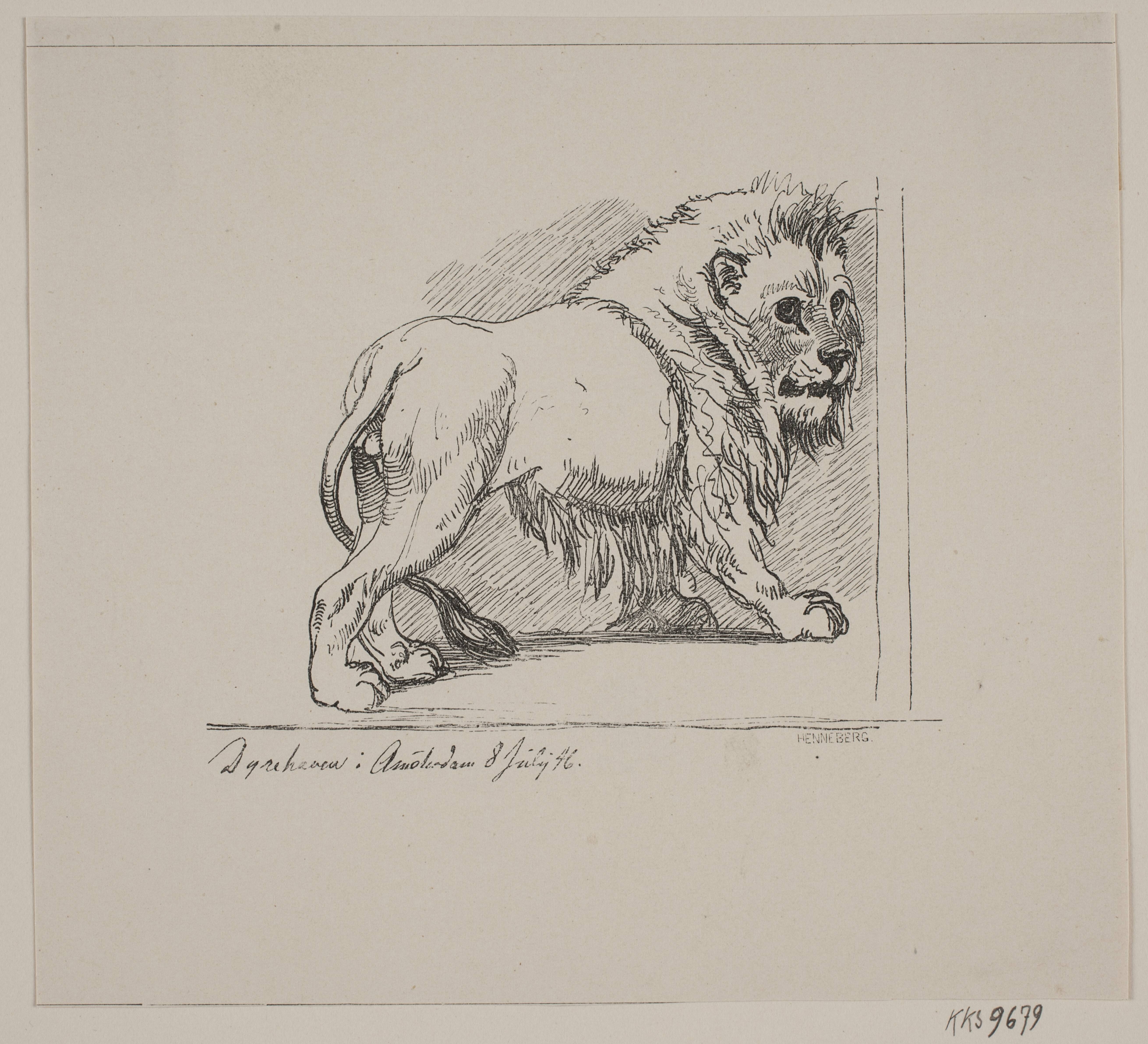 En løve i dyrehaven i Amsterdam 8. juli 1846