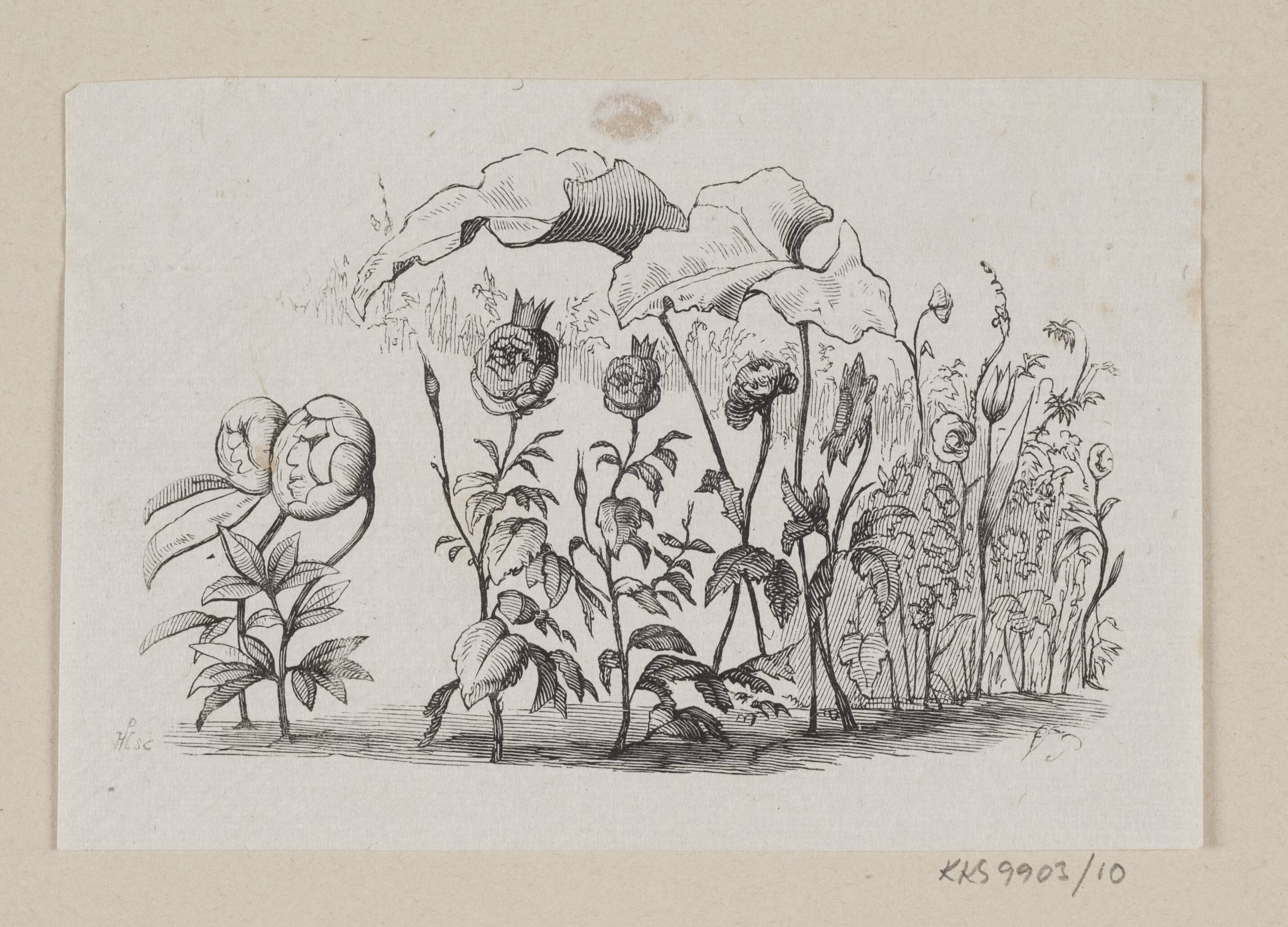 Illustration til "Den lille Idas Blomster" i H.C. Andersen, "Eventyr og Historier", Bind 1