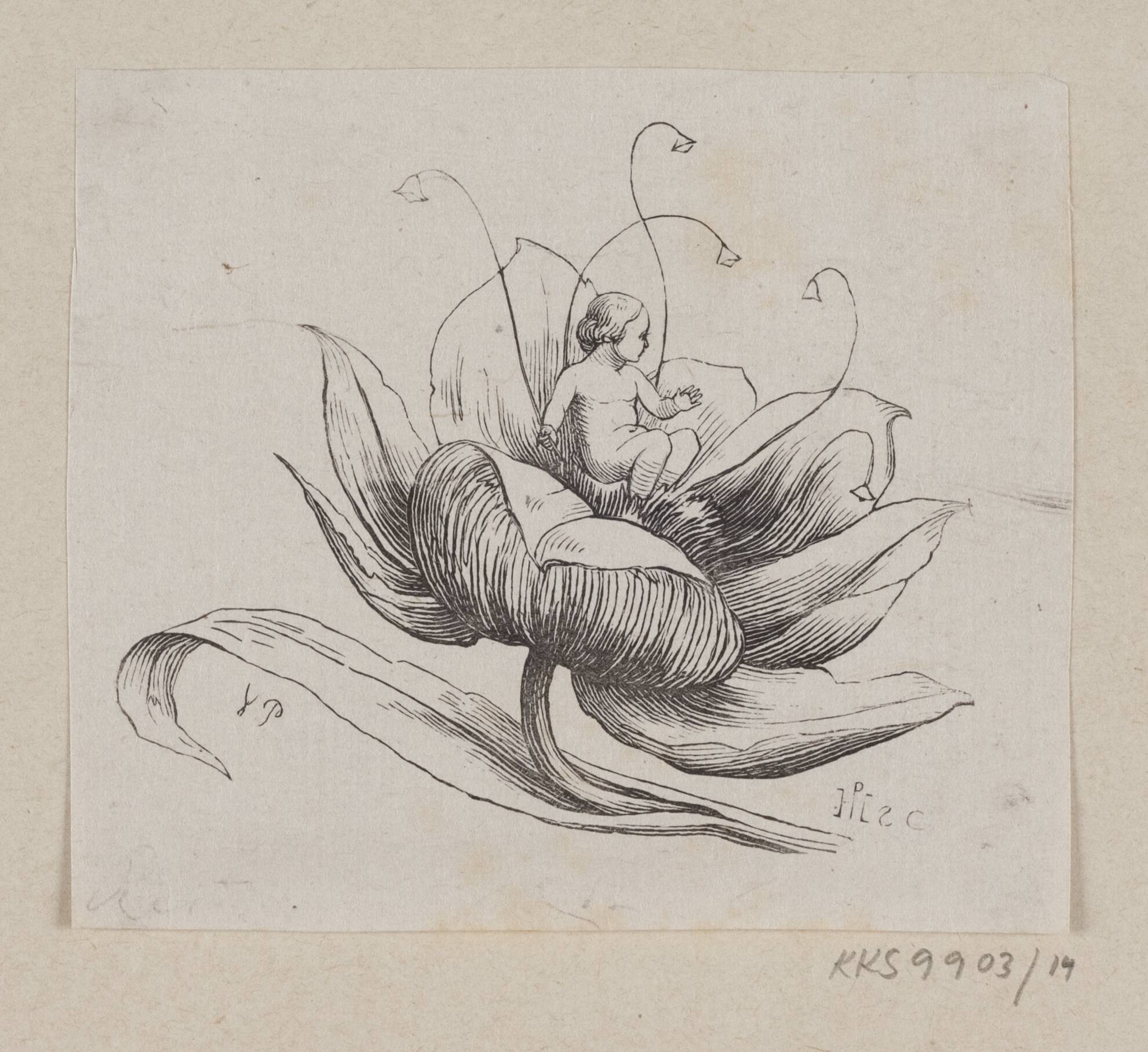 Illustration til "Tommelise" i H.C. Andersen, "Eventyr og Historier", Bind 1