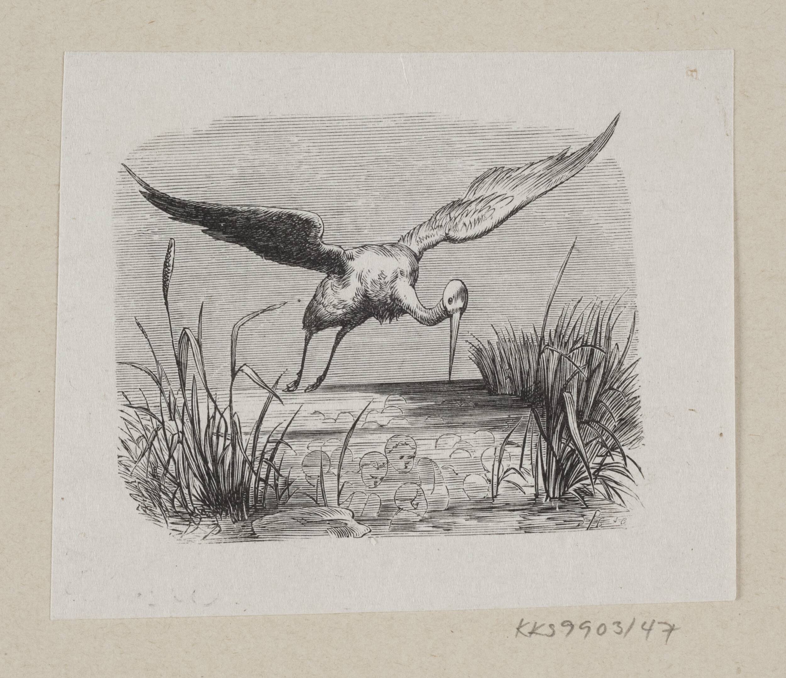Illustration til "Storkene" i H.C. Andersen, "Eventyr og Historier", Bind 1