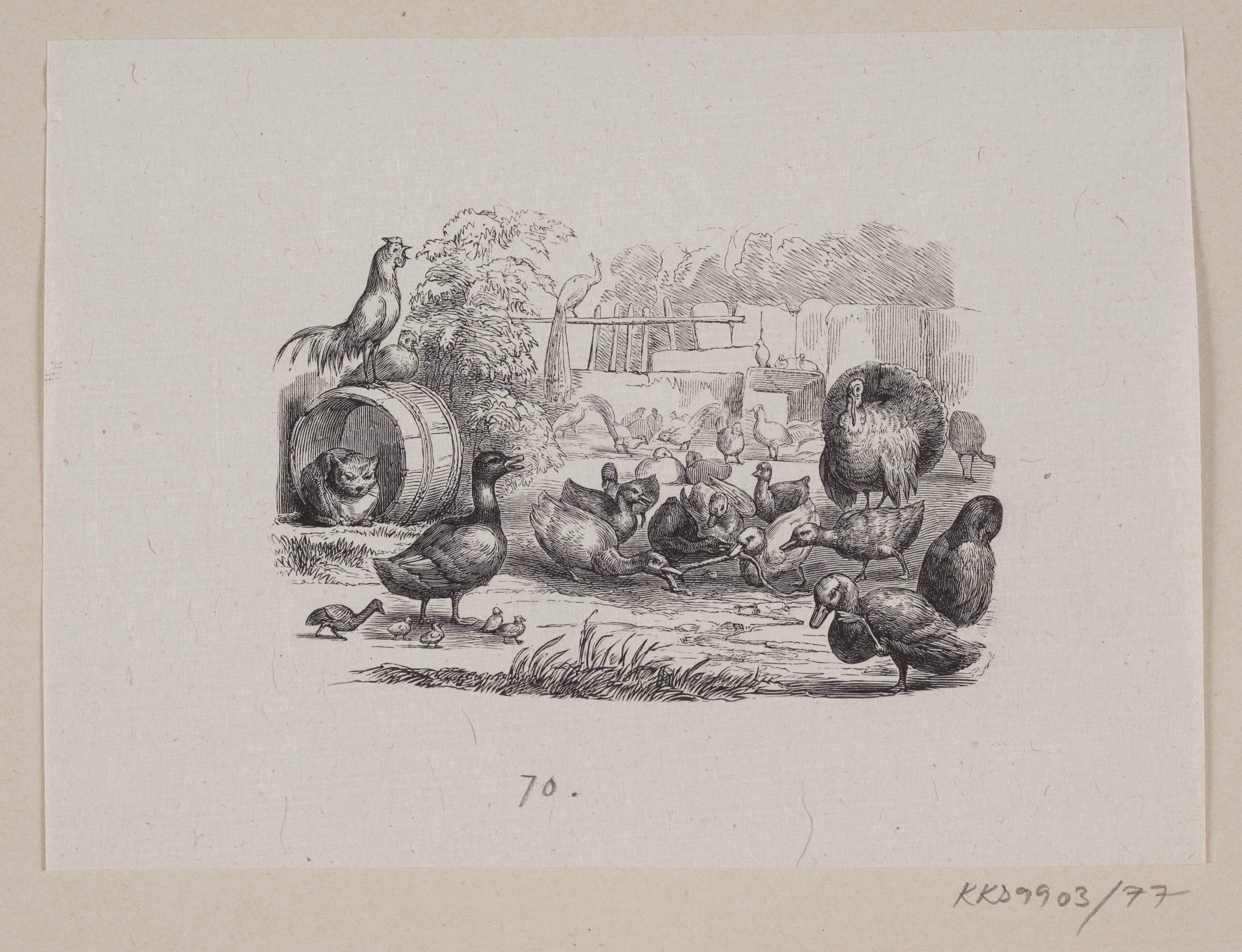 Illustration til "Den grimme Ælling" i H.C. Andersen, "Eventyr og Historier", Bind 1