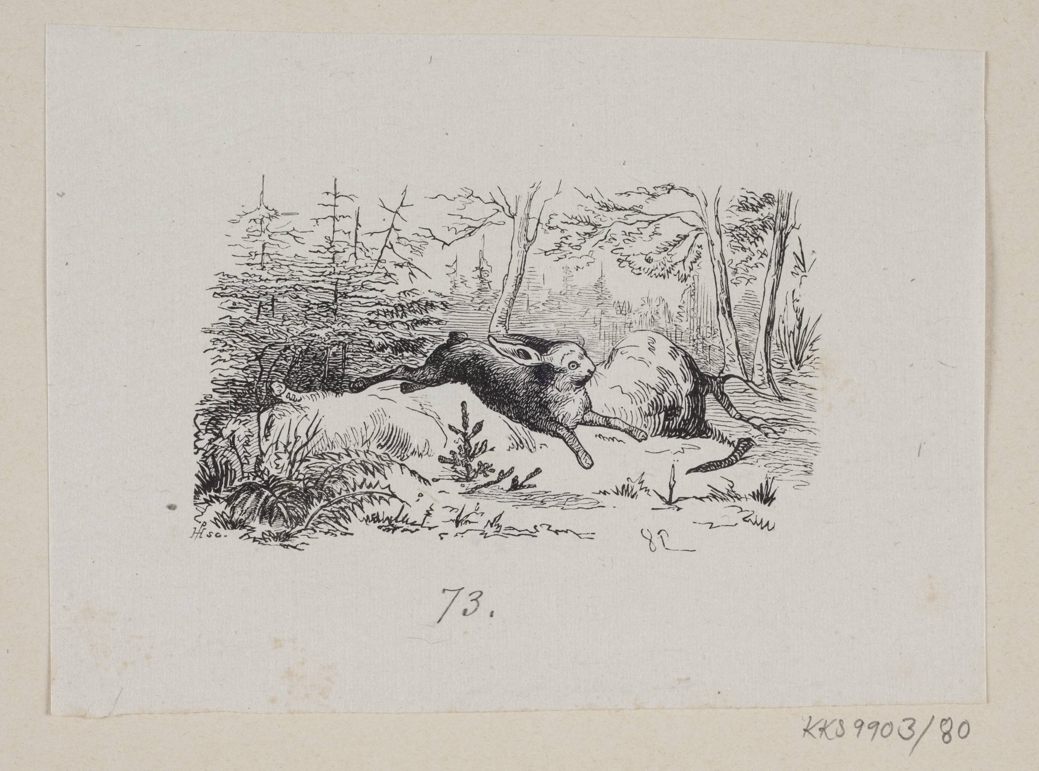 Illustration til "Grantræet" i H.C. Andersen, "Eventyr og Historier", Bind 1