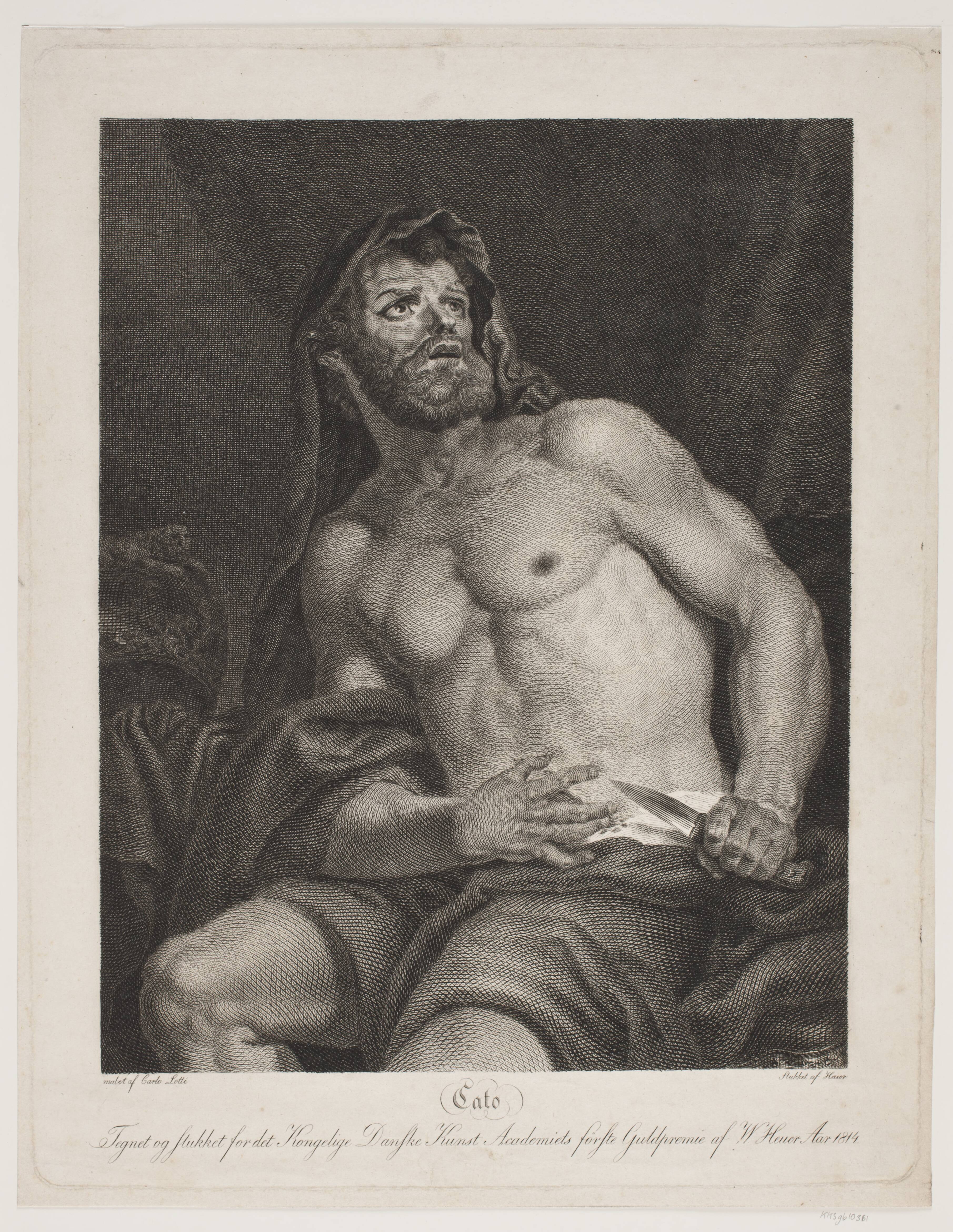 Cato