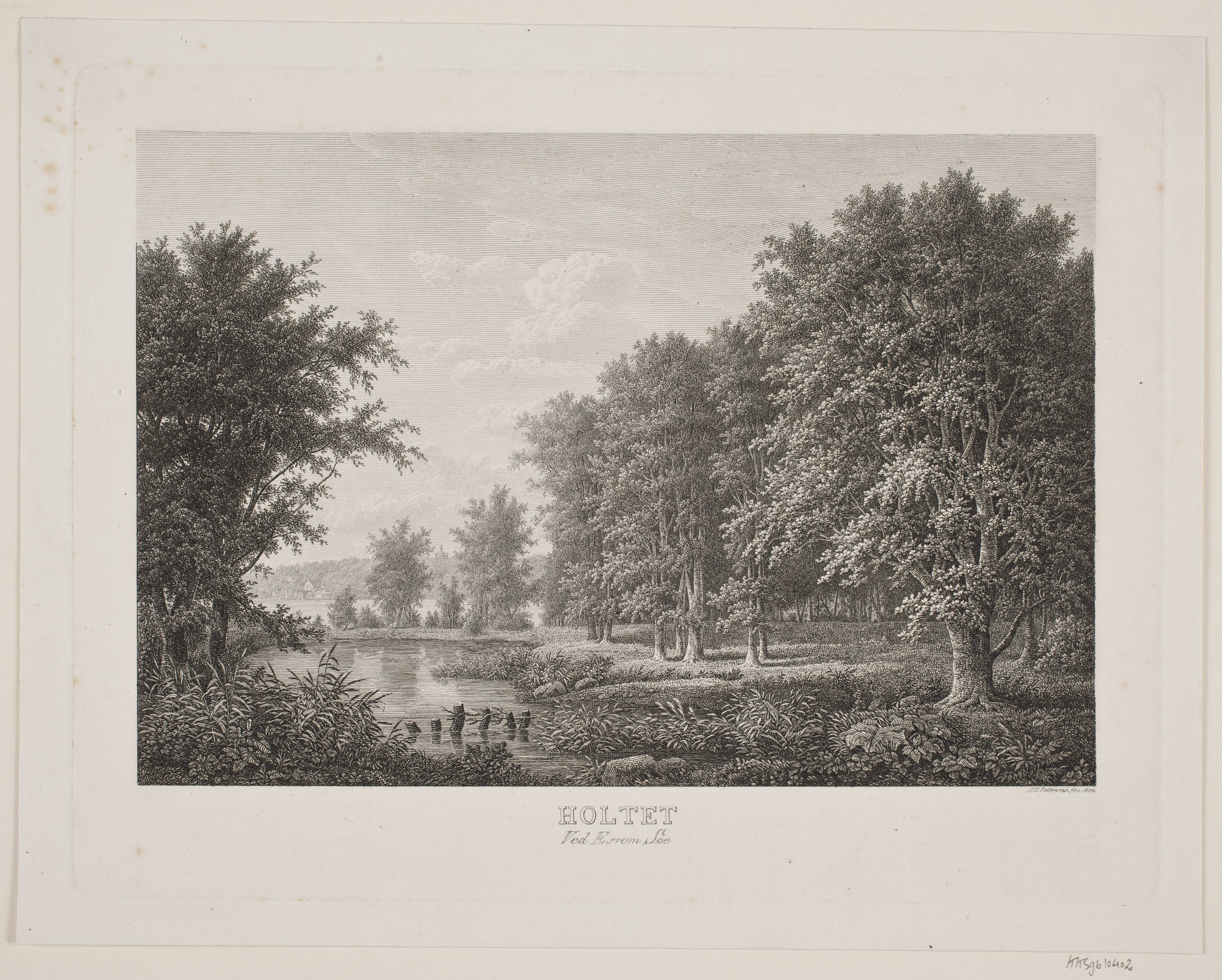 Holtet