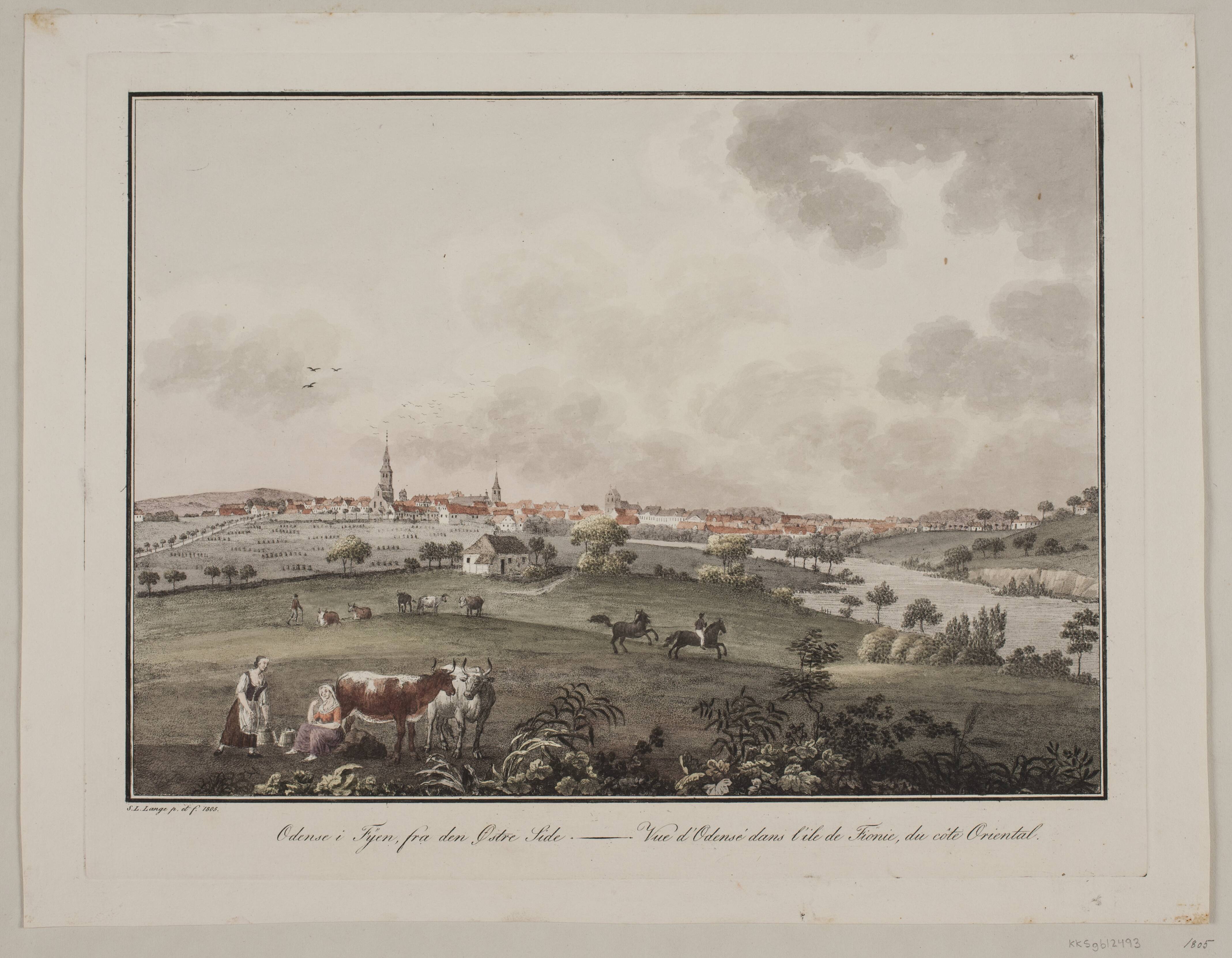 Odense på Fyn, fra den østlige side