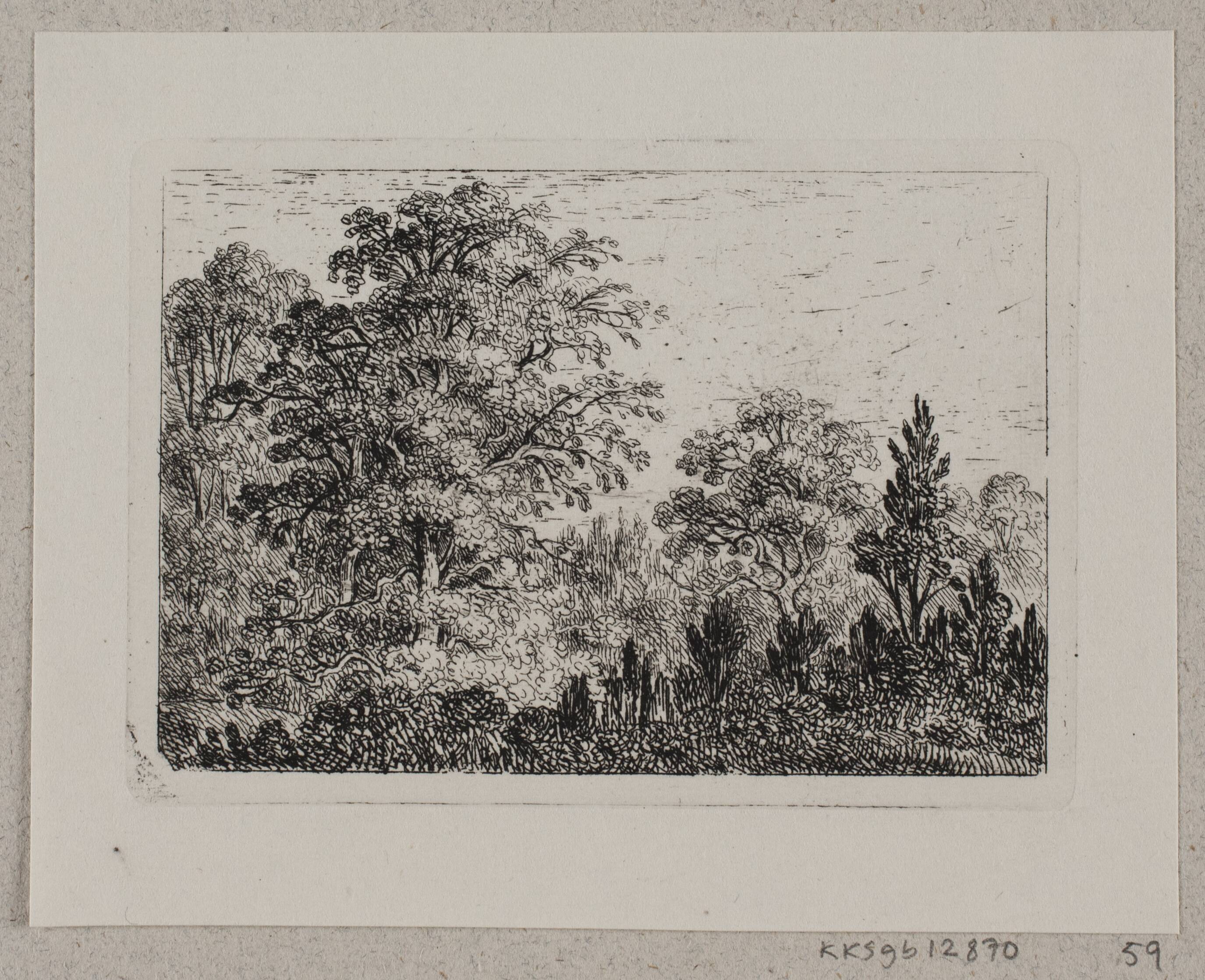 Skovlandskab