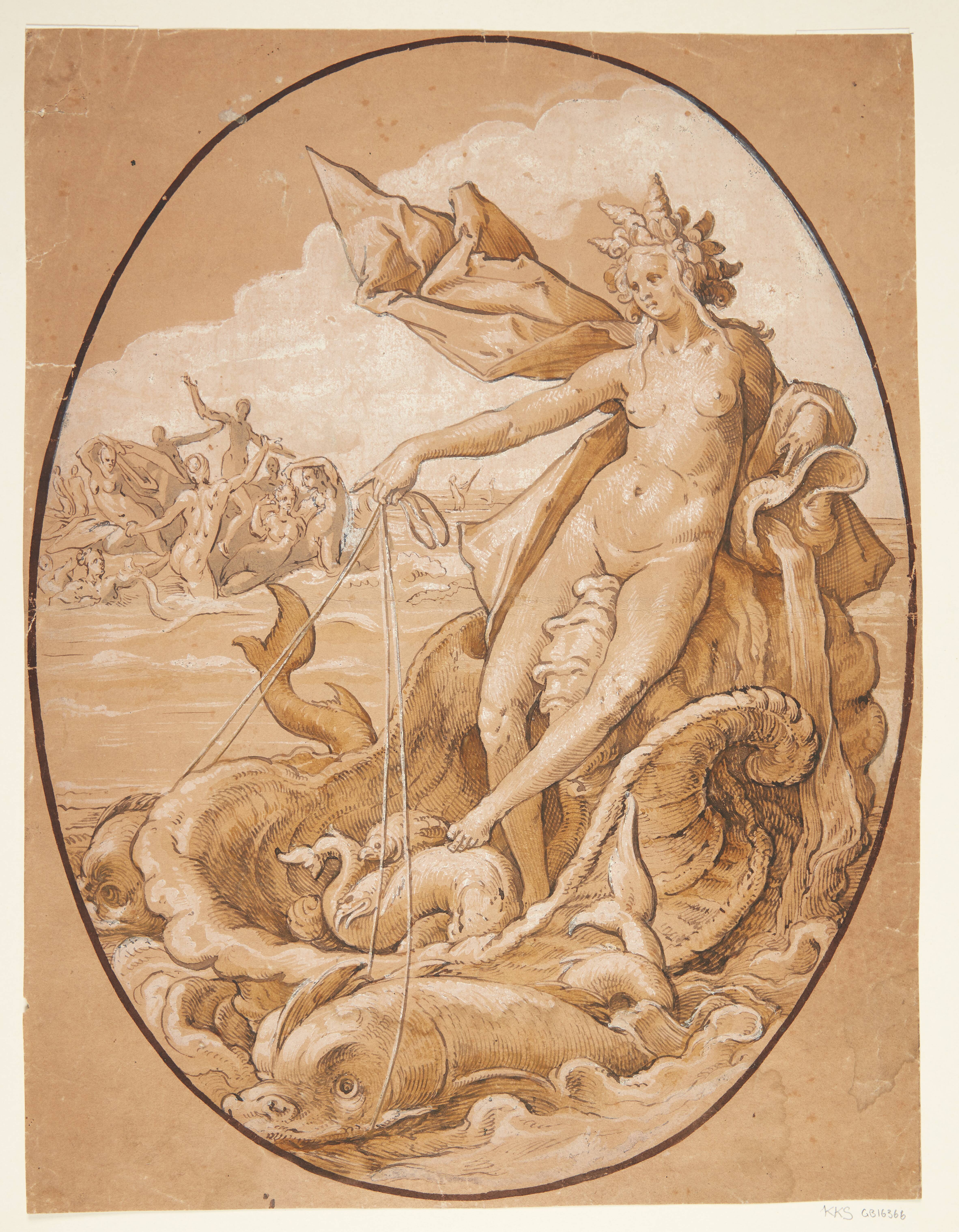 Venus Marina