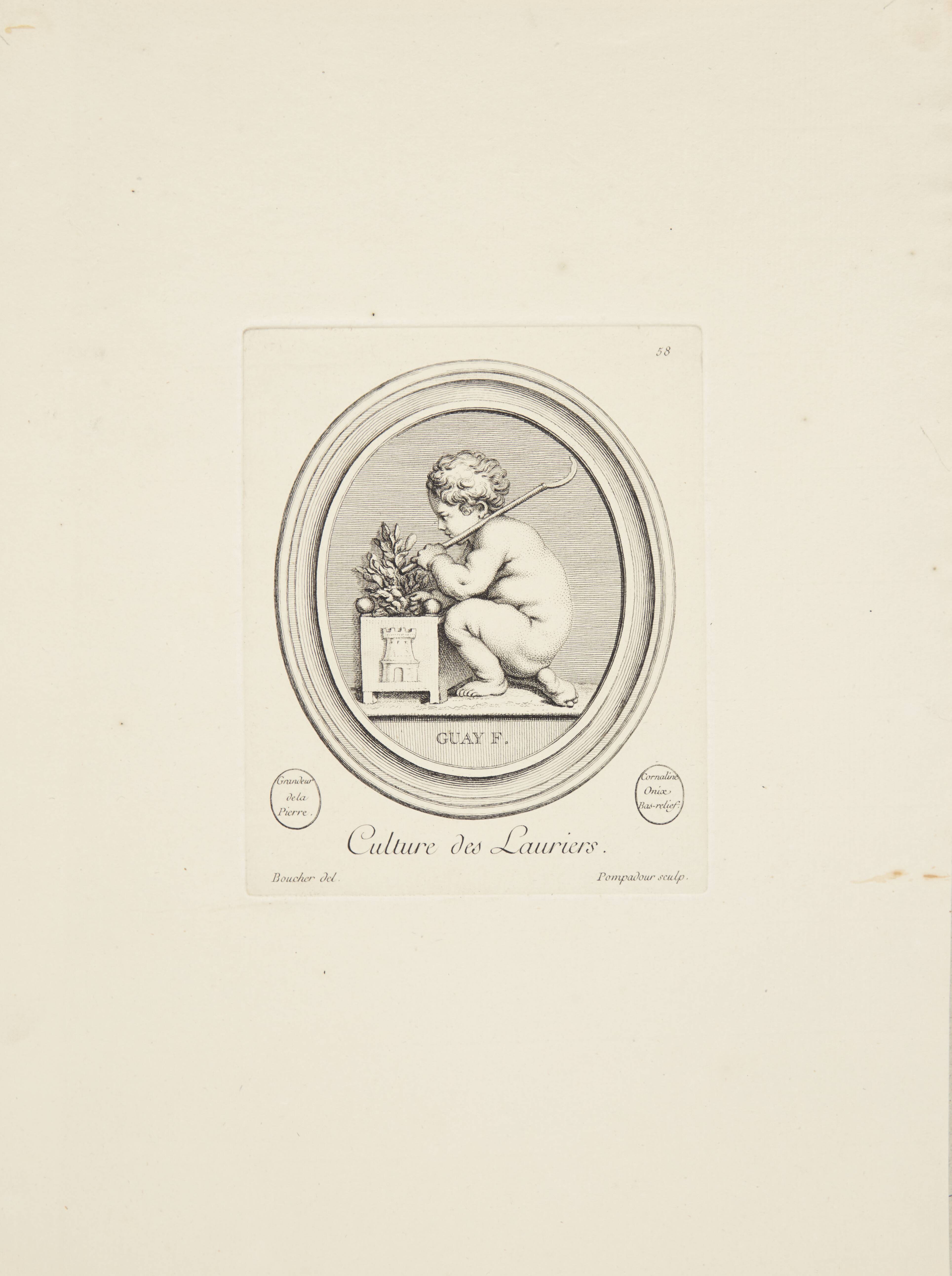 Voksende laurbær