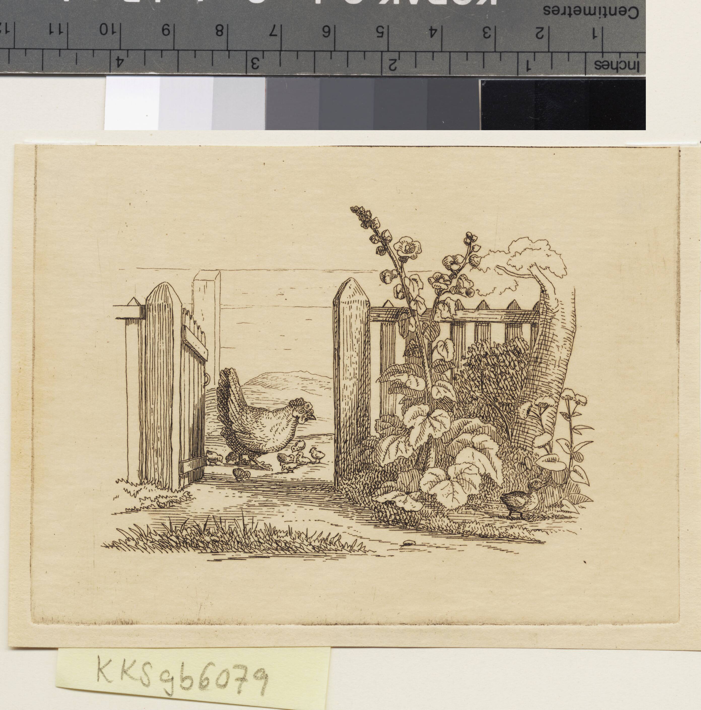 Illustration til "Halvhundrede Fabler for Børn" af Hey