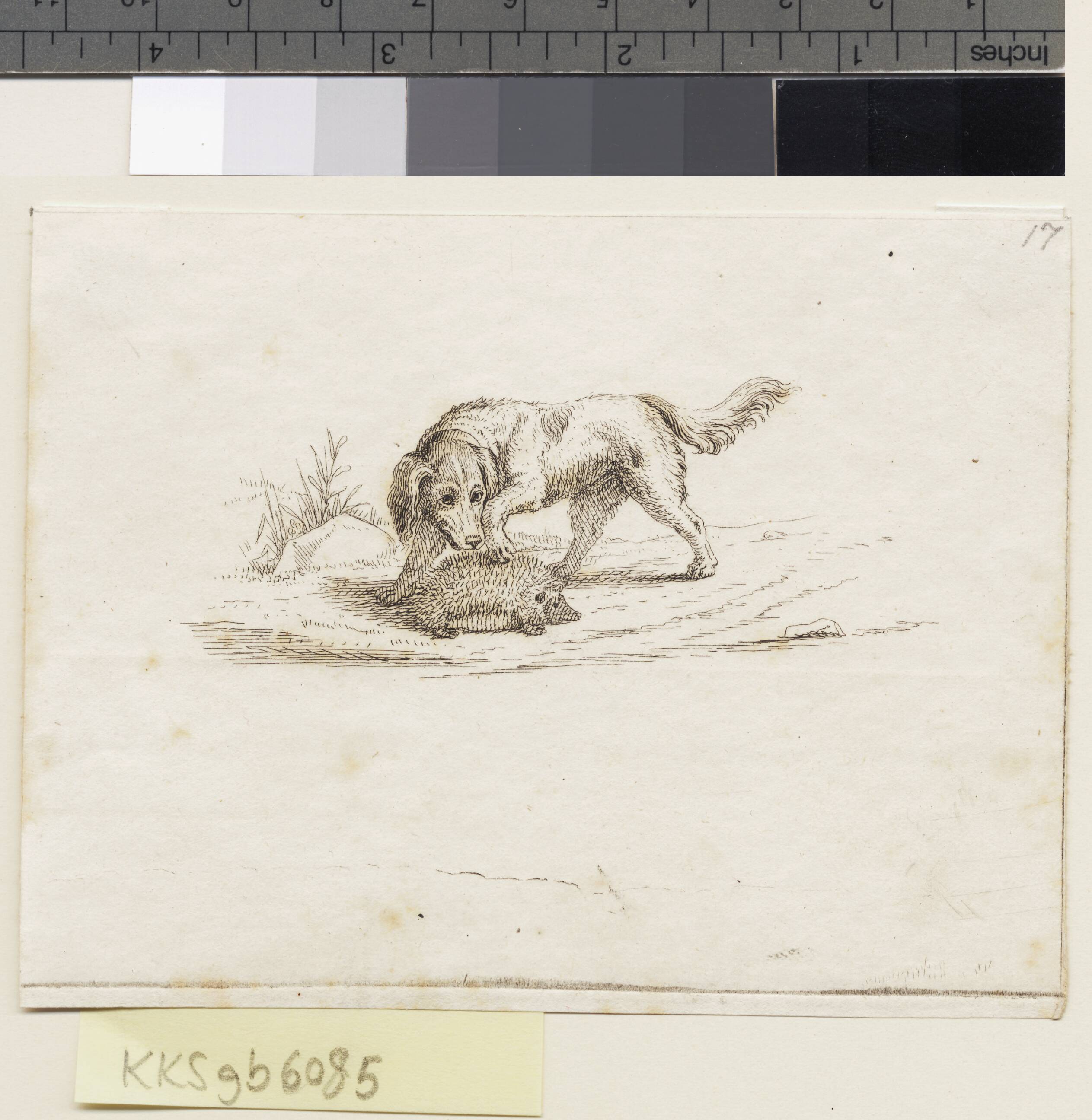 Illustration til "Halvhundrede Fabler for Børn" af Hey