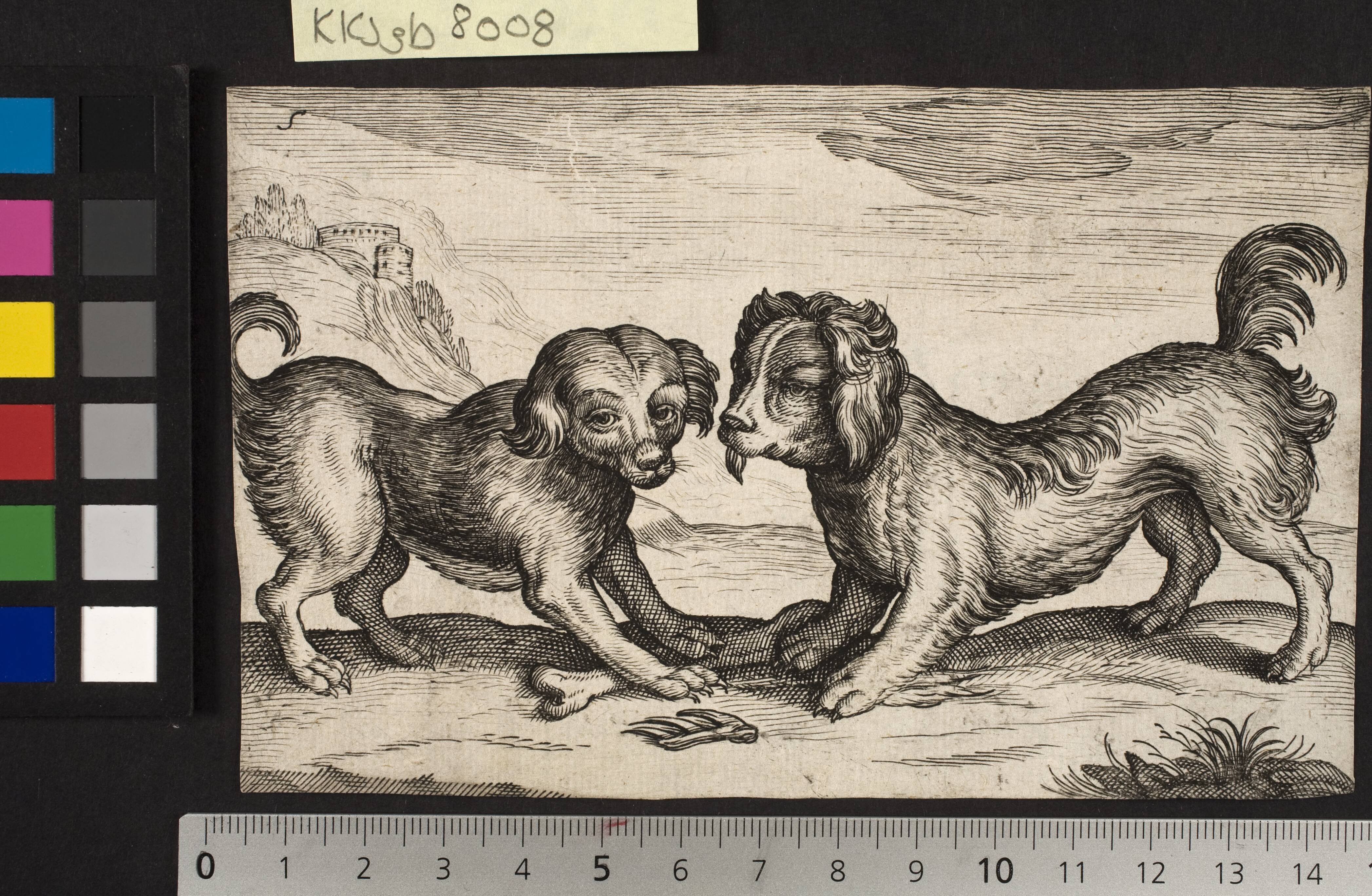 Two small dogs