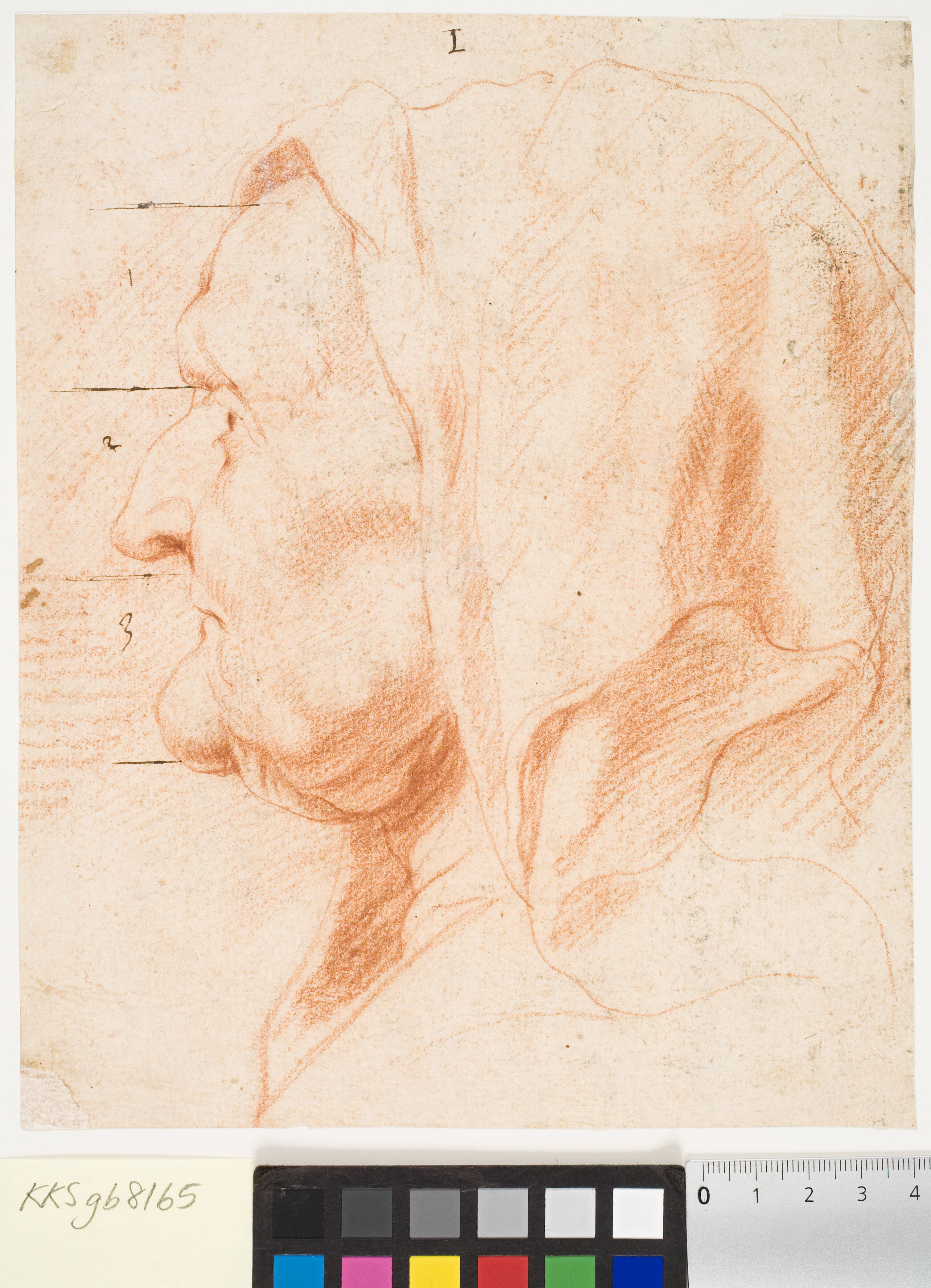Head of an Old Woman, in Left Profile